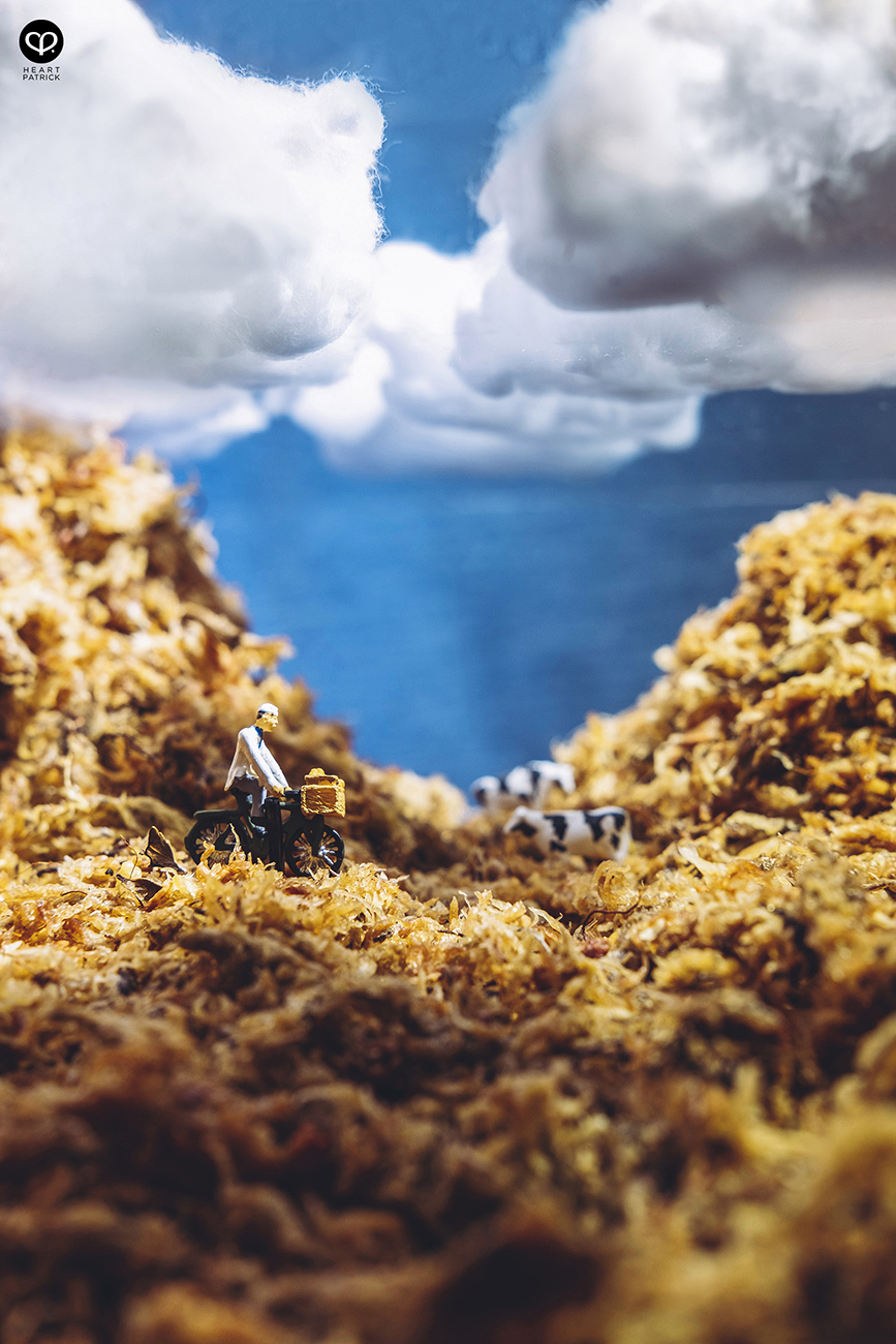 heartpatrick miniature photography creative mco covid19 stayhome