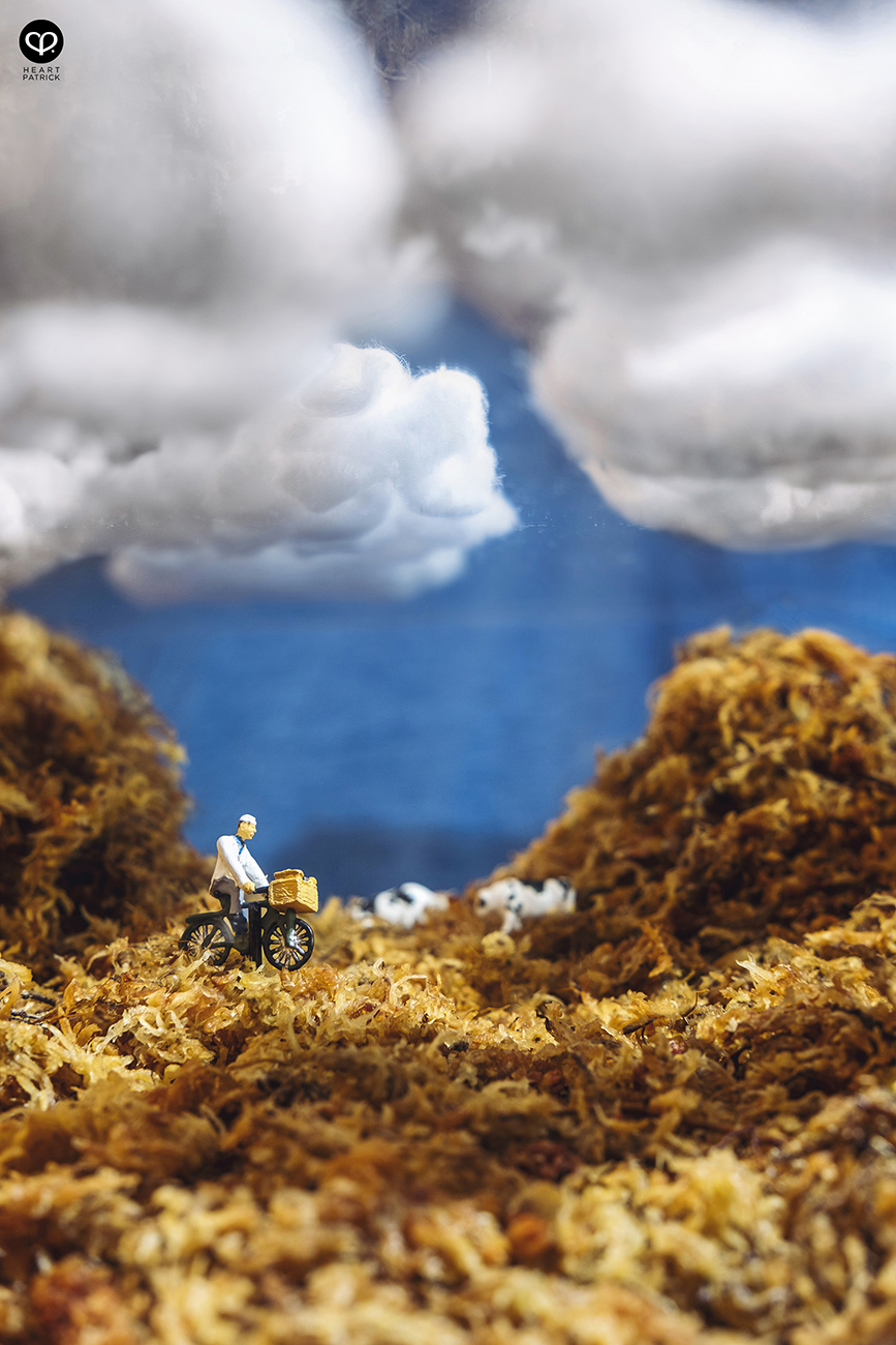 heartpatrick miniature photography creative mco covid19 stayhome