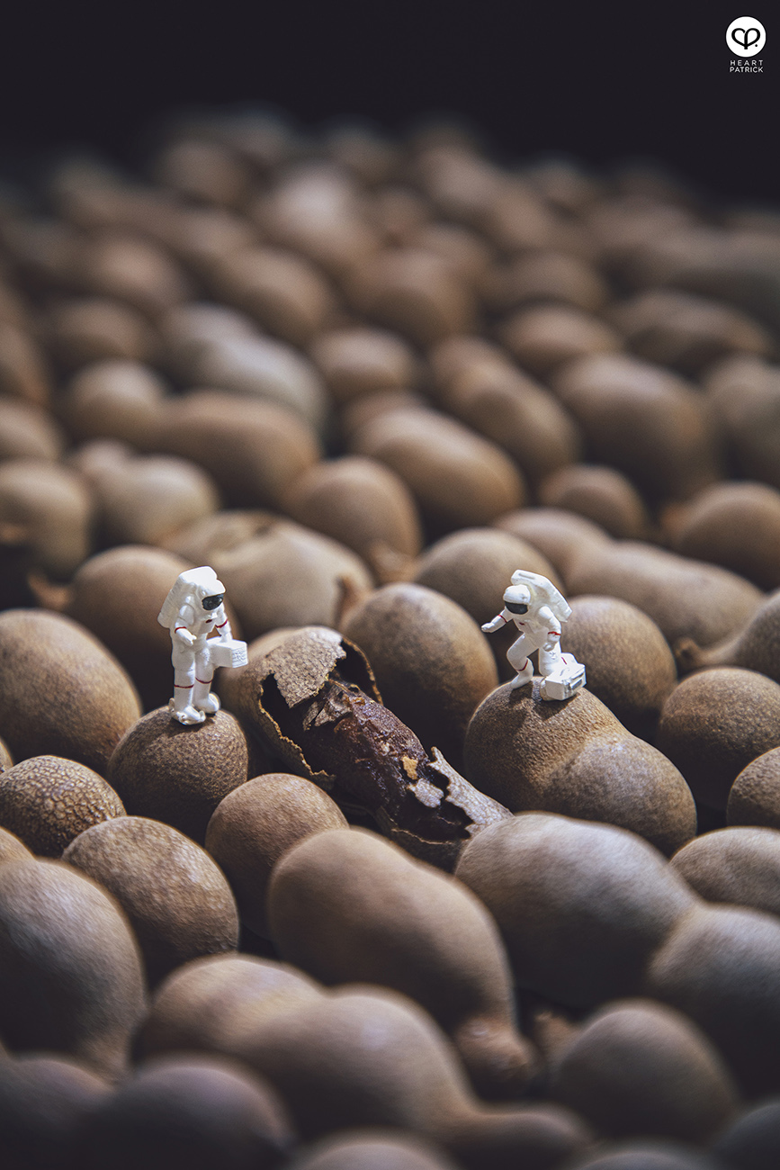 heartpatrick miniature photography creative mco covid19 stayhome