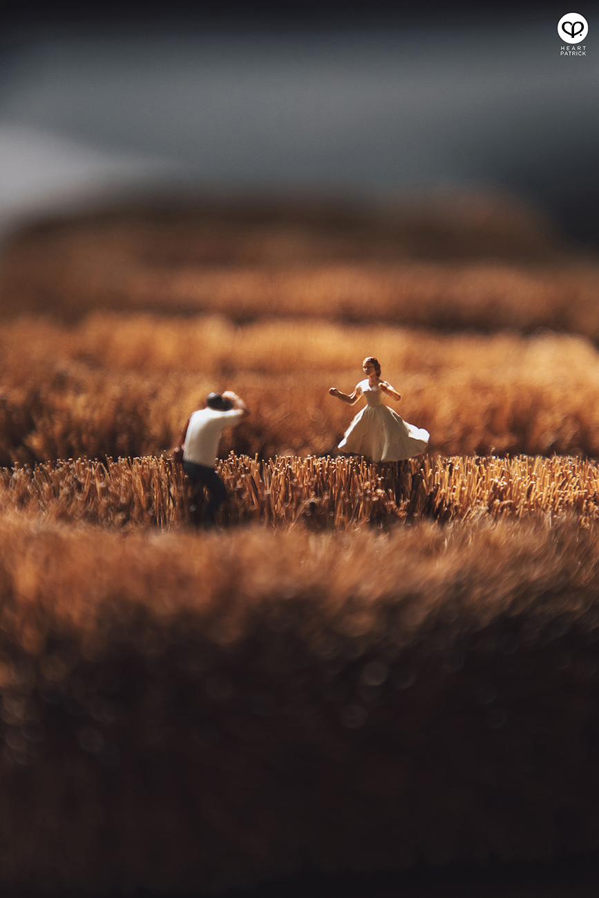 heartpatrick miniature photography creative mco covid19 stayhome