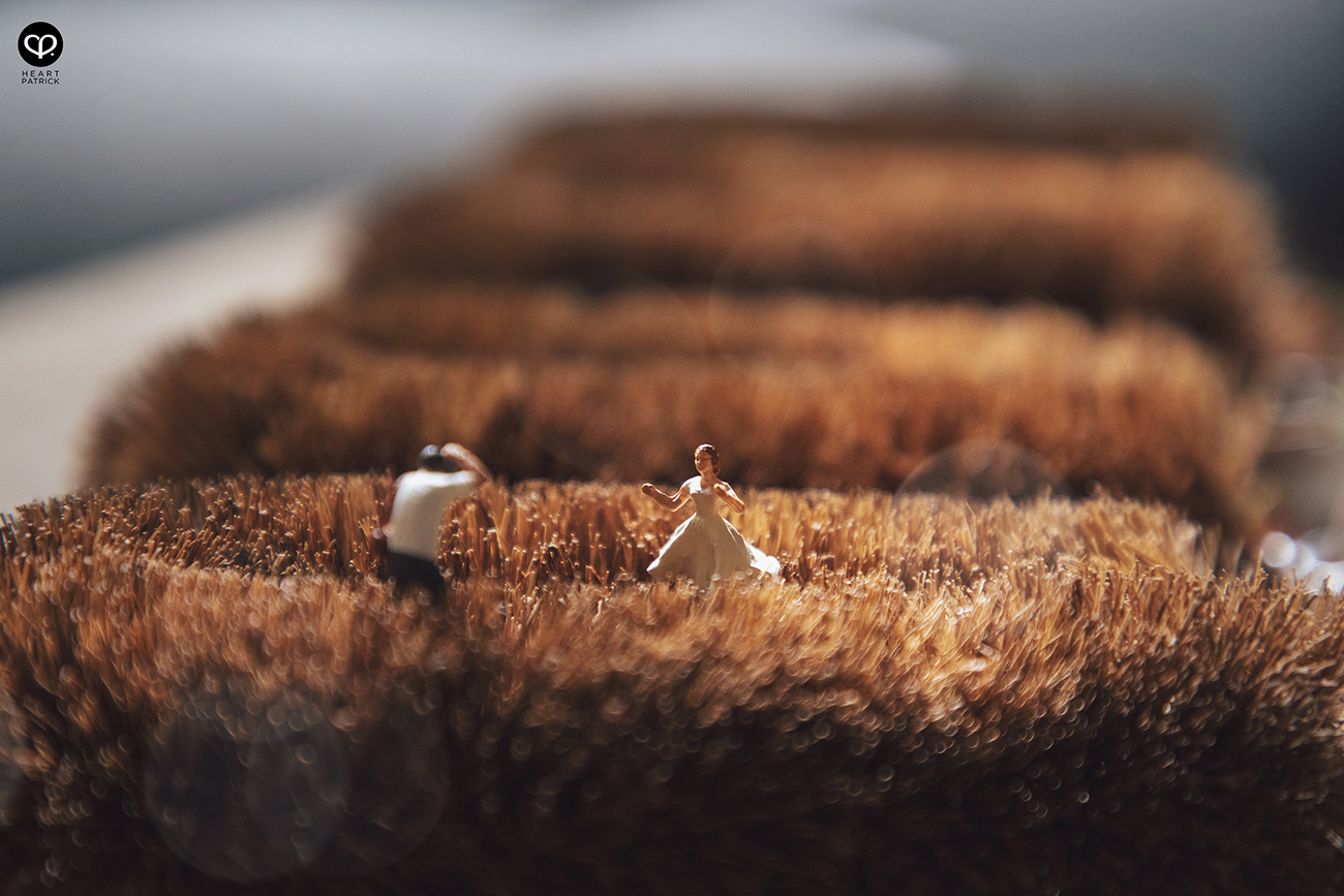 heartpatrick miniature photography creative mco covid19 stayhome