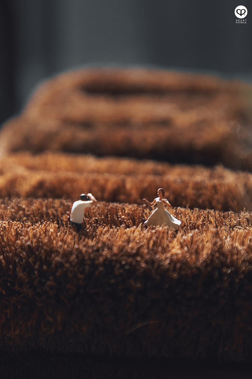 heartpatrick miniature photography creative mco covid19 stayhome