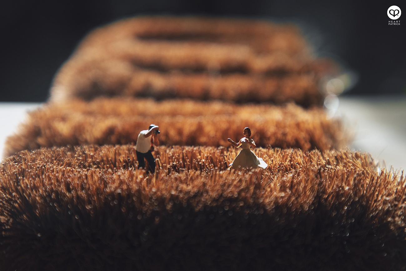 heartpatrick miniature photography creative mco covid19 stayhome