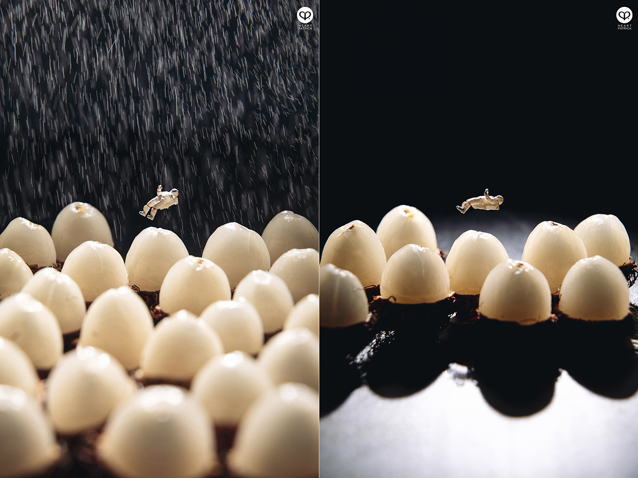 heartpatrick miniature photography macro miniature life 