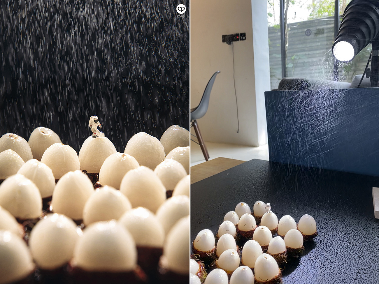 heartpatrick miniature photography macro miniature life 