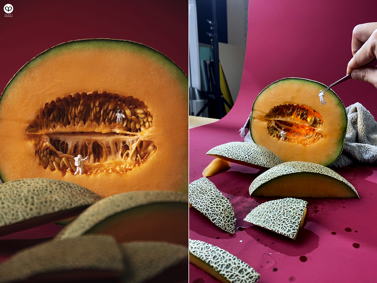 heartpatrick miniature photography macro miniature life 