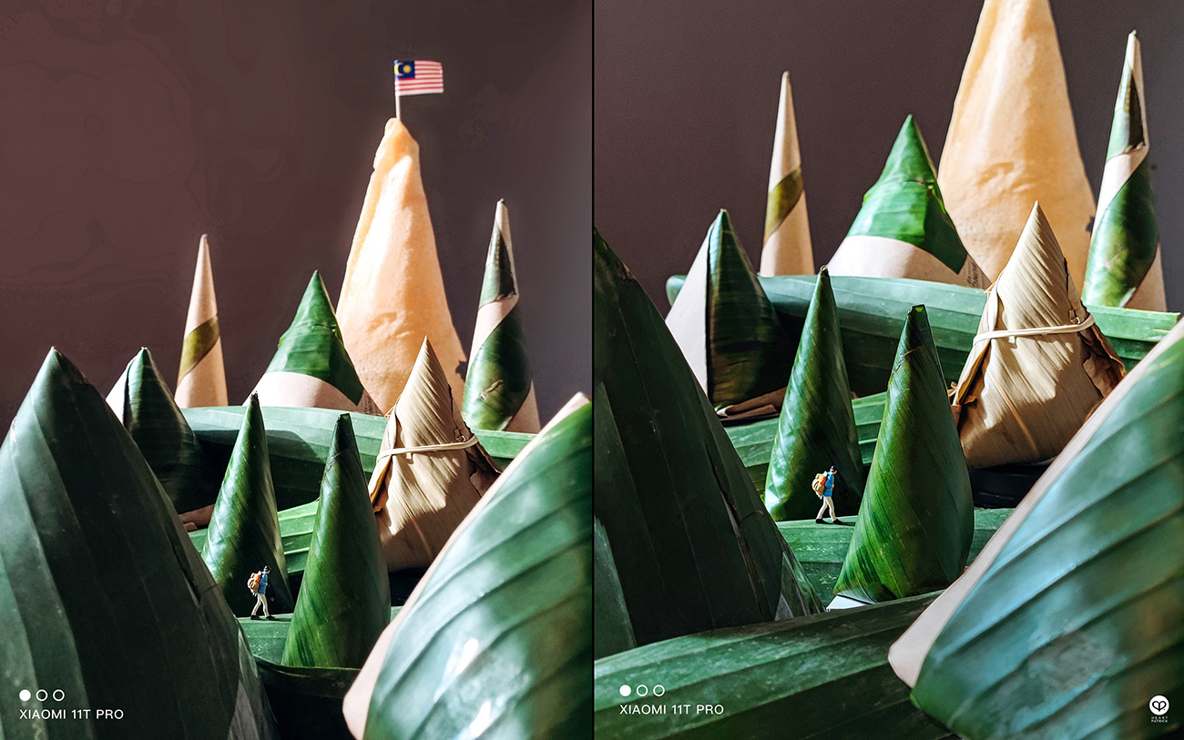 heartpatrick miniature photography macro miniature life 