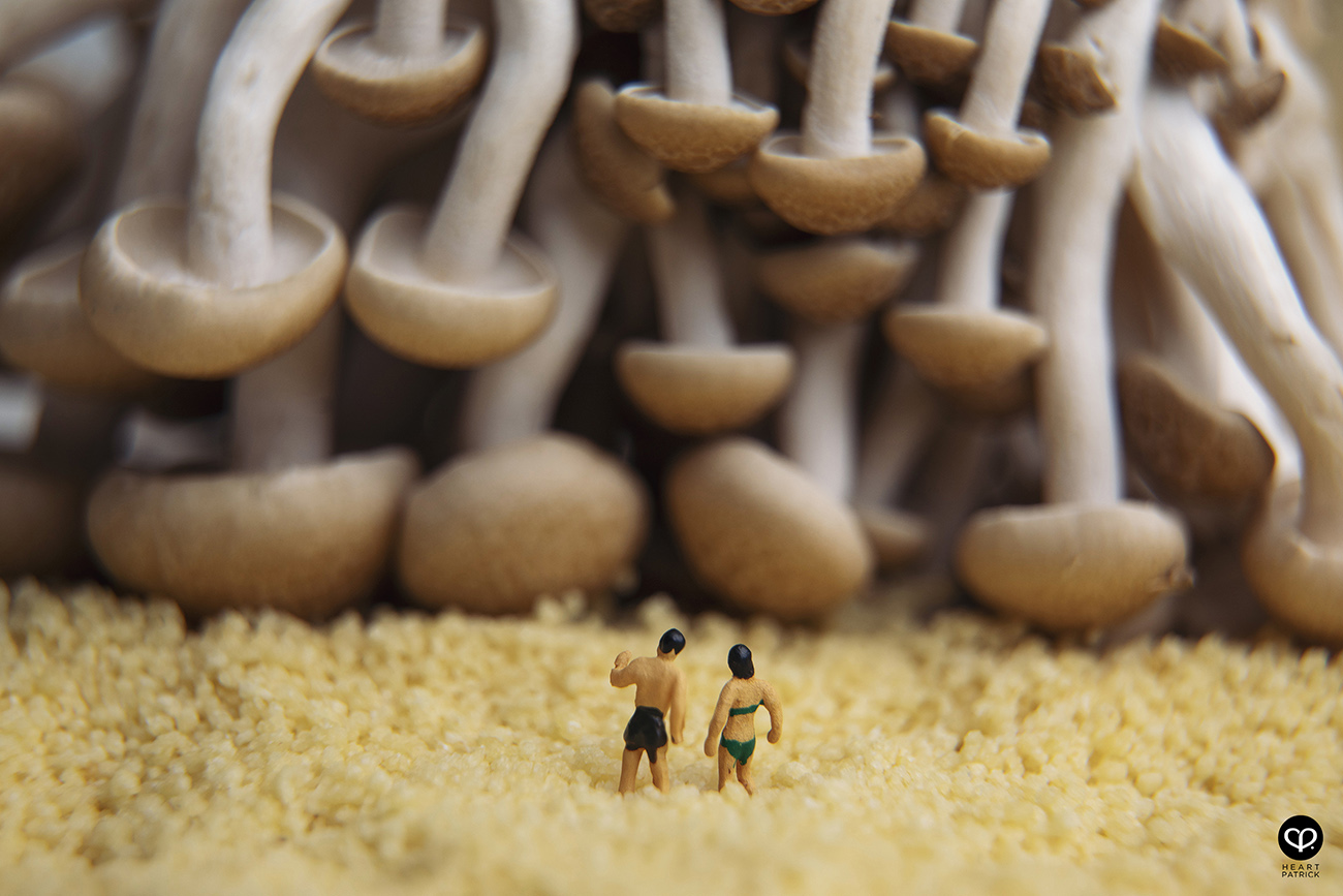 heartpatrick photographer malaysia product miniature photography mushroom onsen