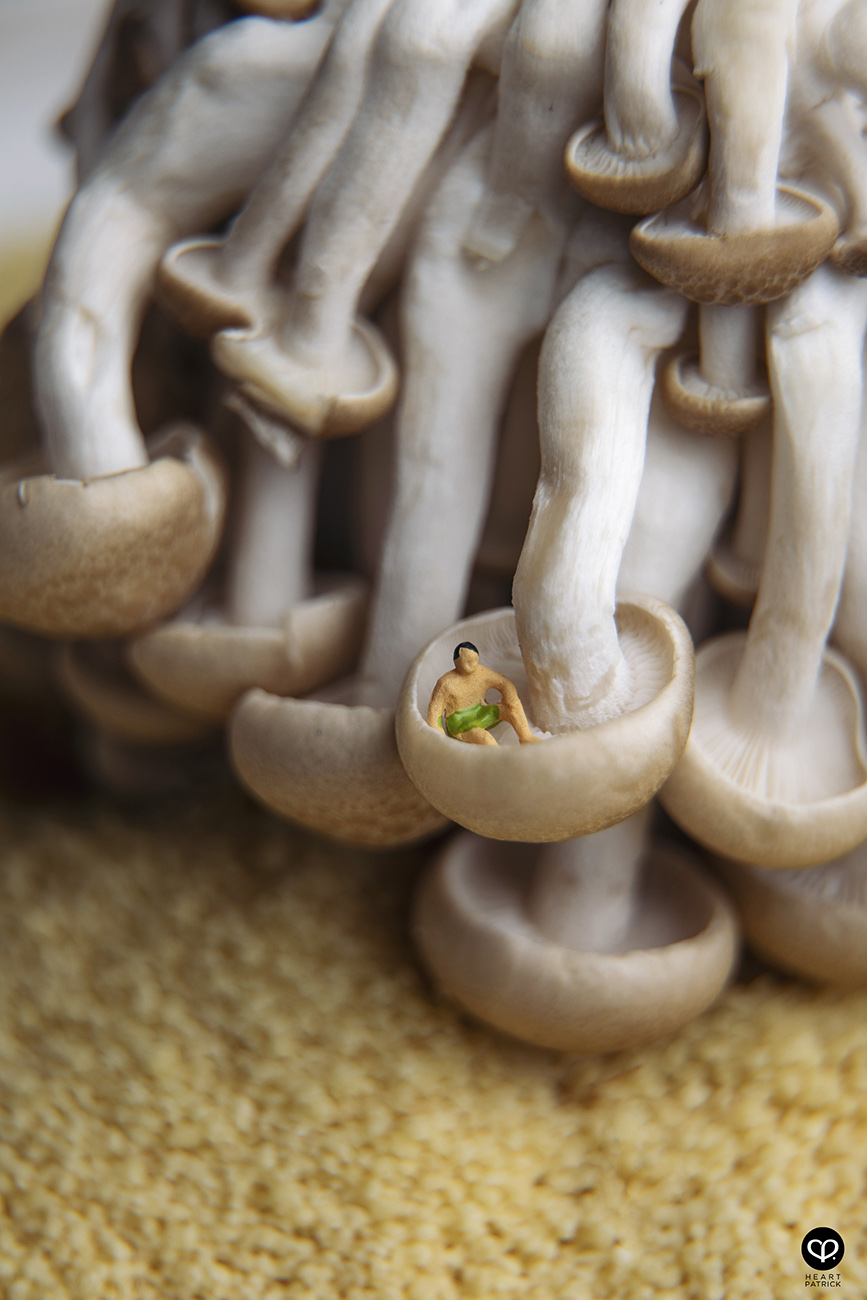heartpatrick photographer malaysia product miniature photography mushroom onsen