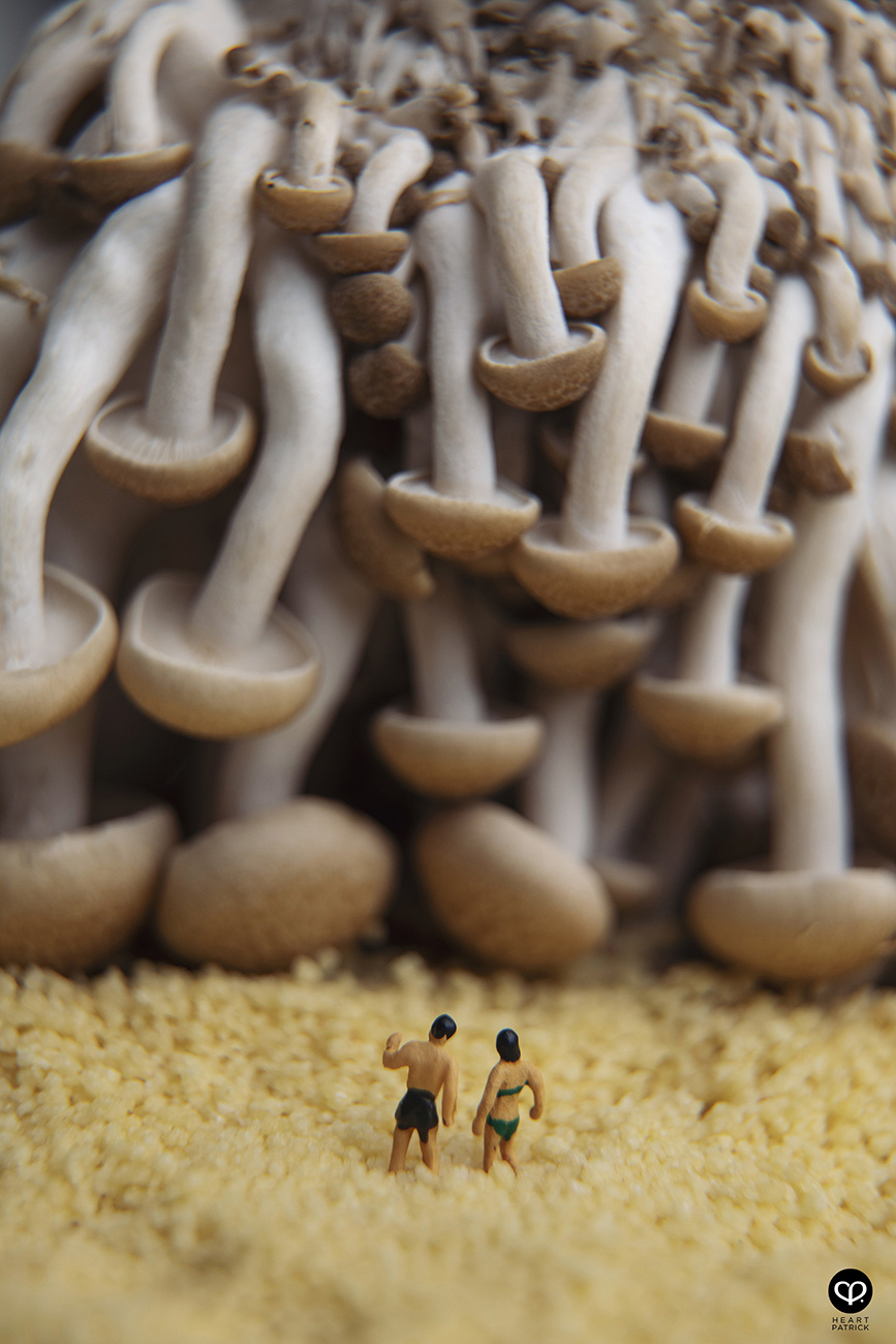 heartpatrick photographer malaysia product miniature photography mushroom onsen