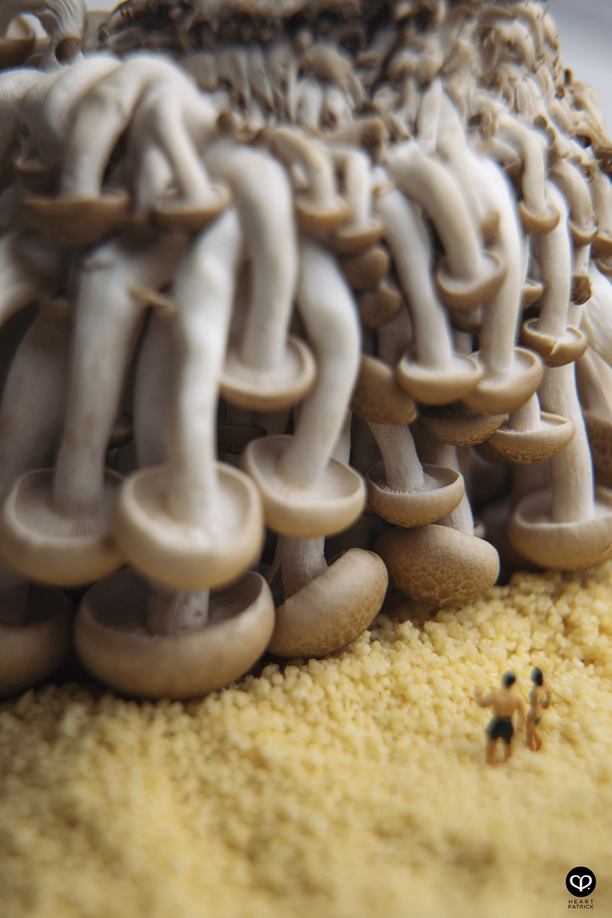 heartpatrick photographer malaysia product miniature photography mushroom onsen