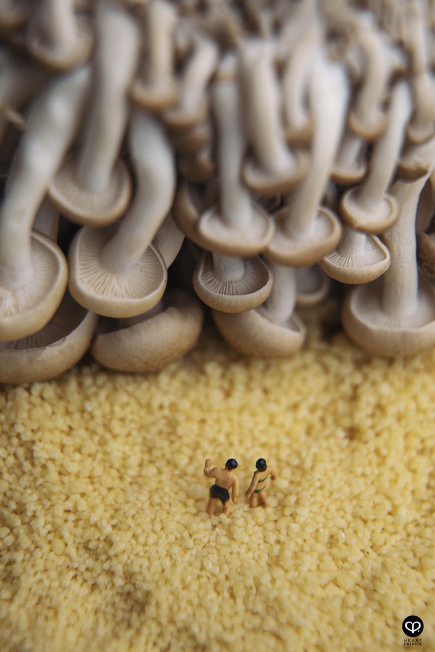 heartpatrick photographer malaysia product miniature photography mushroom onsen
