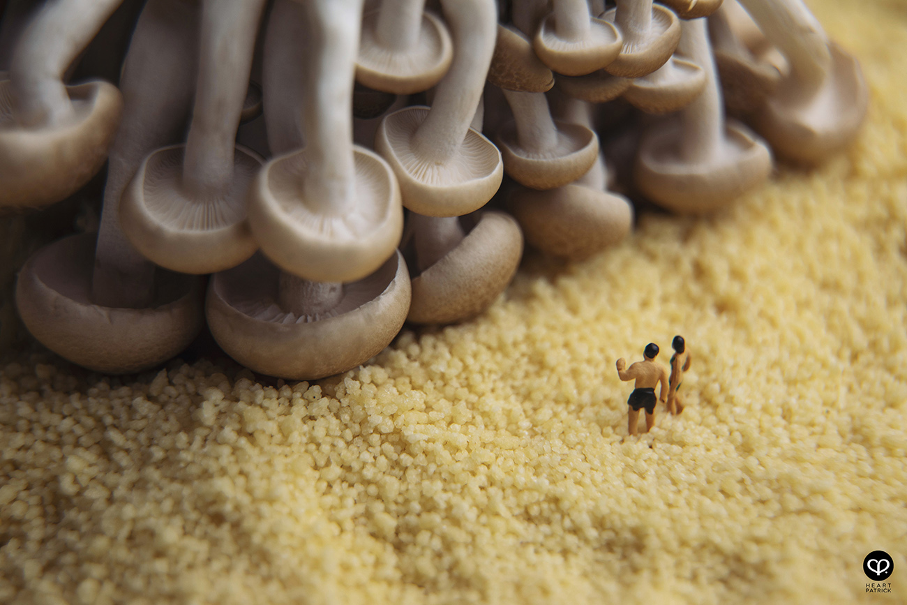 heartpatrick photographer malaysia product miniature photography mushroom onsen