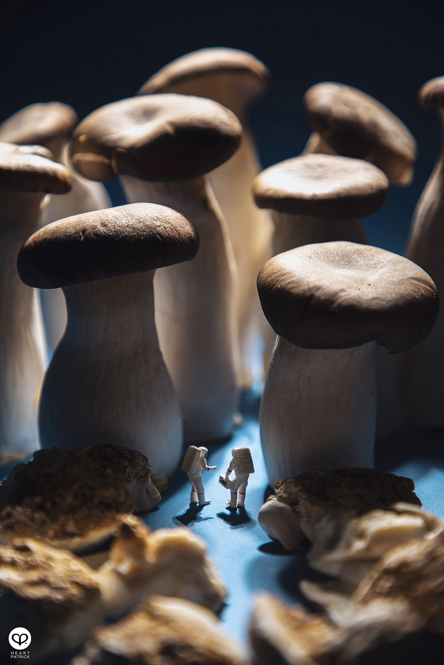 heartpatrick product photography four seasons mooncake 2021 mid autumn