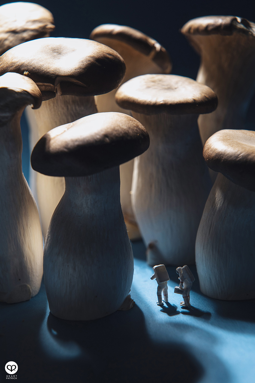 heartpatrick product photography four seasons mooncake 2021 mid autumn