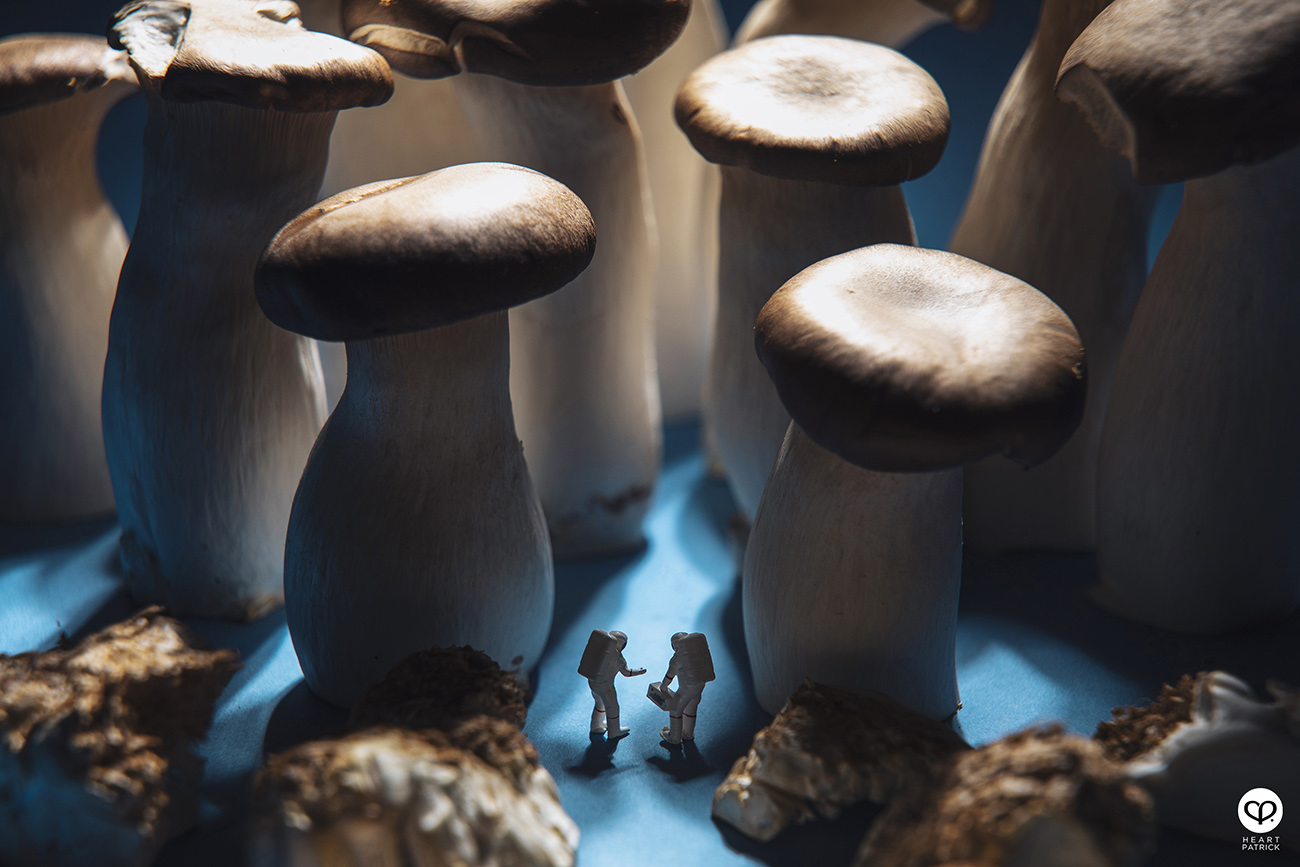 heartpatrick product photography four seasons mooncake 2021 mid autumn