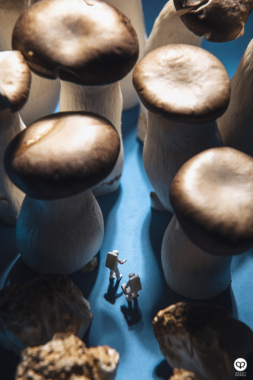 heartpatrick product photography four seasons mooncake 2021 mid autumn