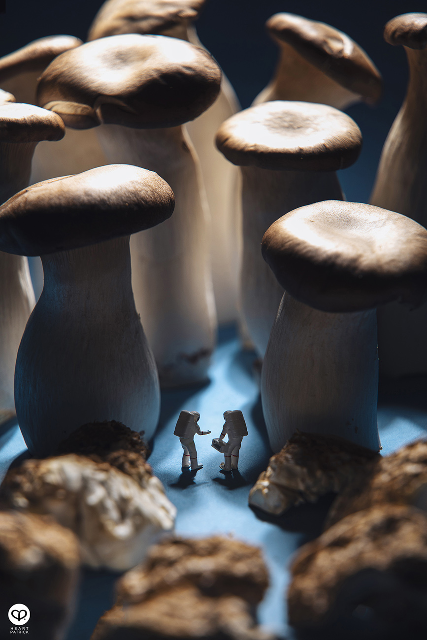 heartpatrick product photography four seasons mooncake 2021 mid autumn