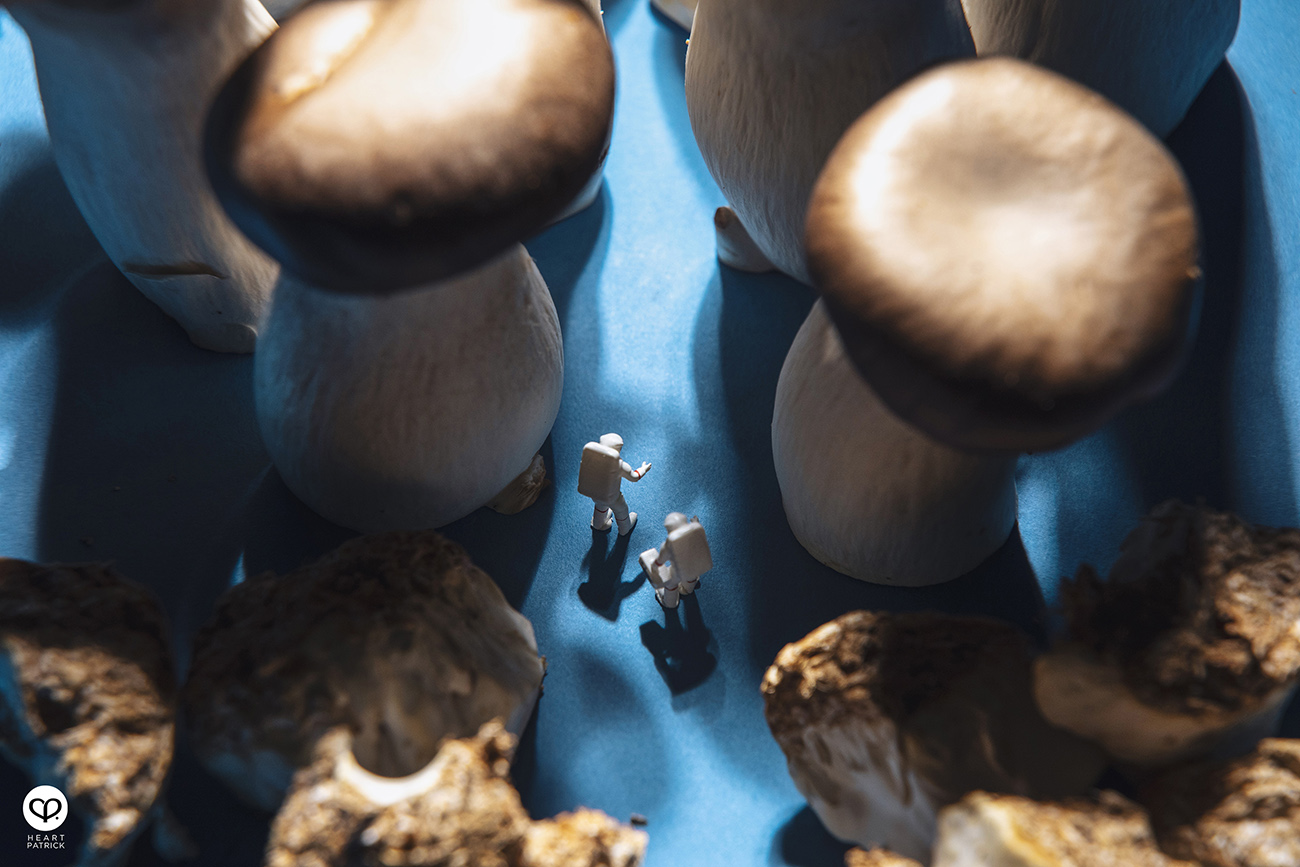 heartpatrick product photography four seasons mooncake 2021 mid autumn