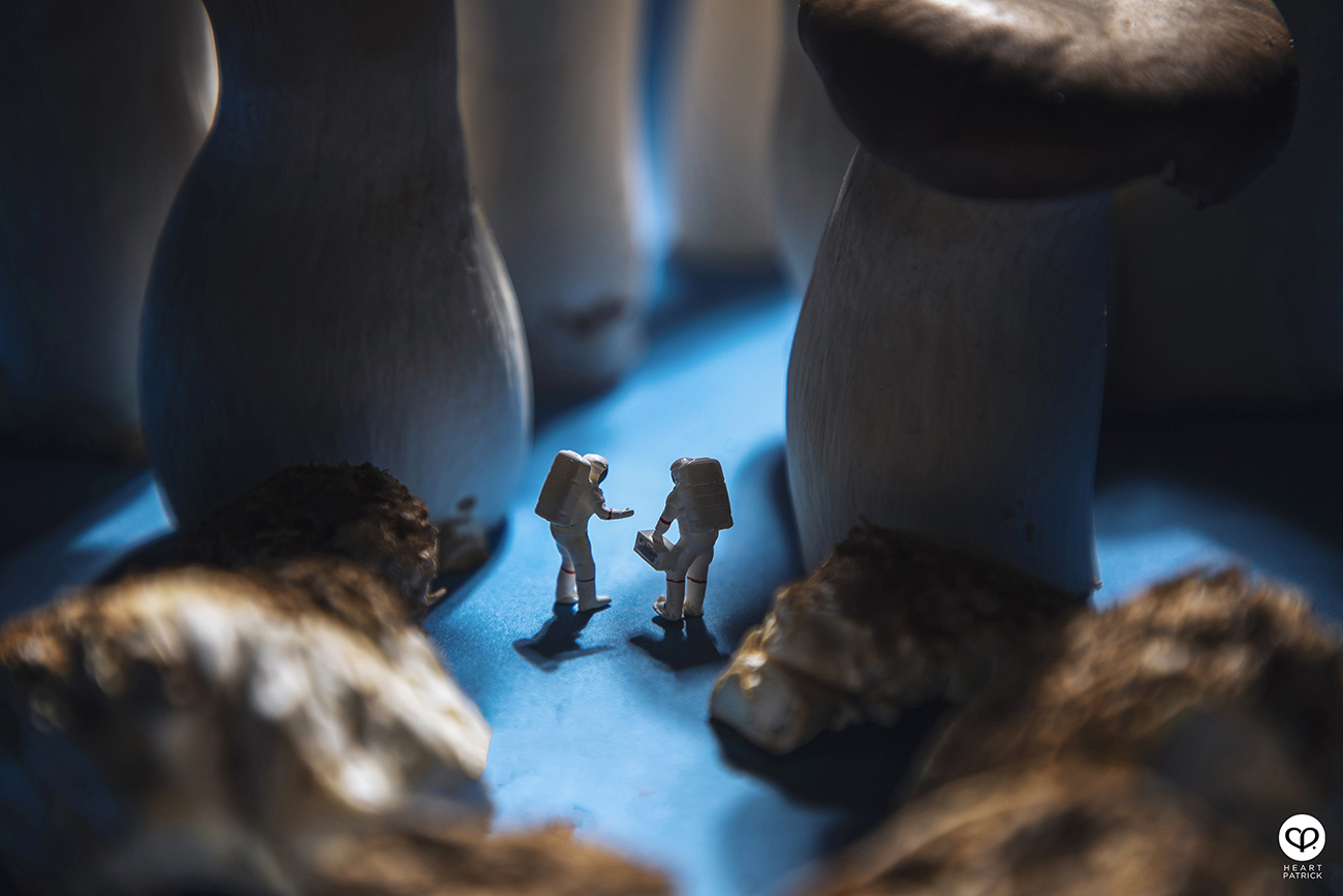 heartpatrick product photography four seasons mooncake 2021 mid autumn