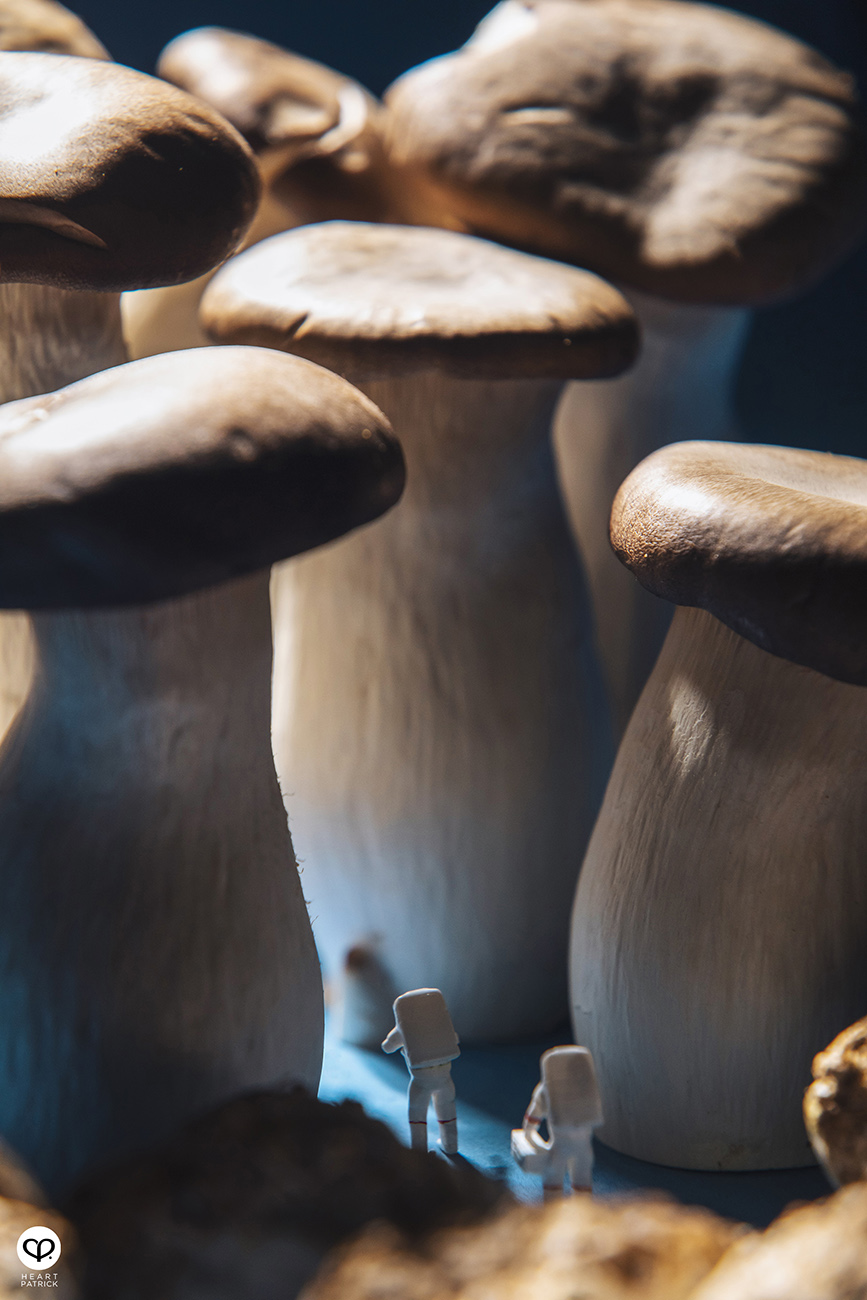 heartpatrick product photography four seasons mooncake 2021 mid autumn