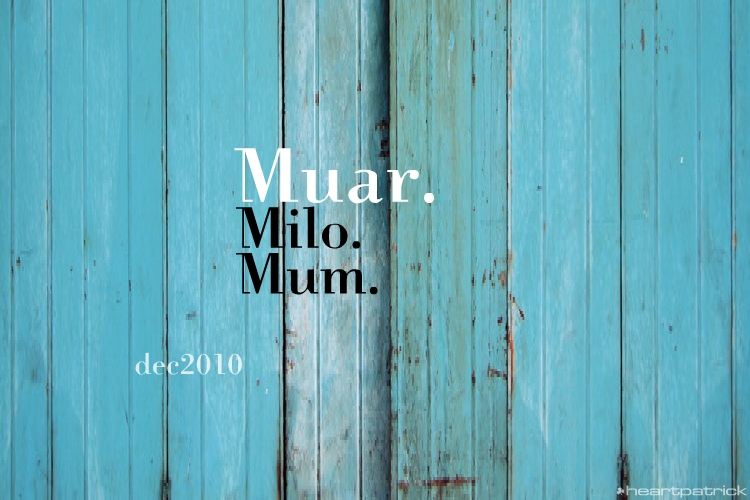 heartpatrick muar urban heritage