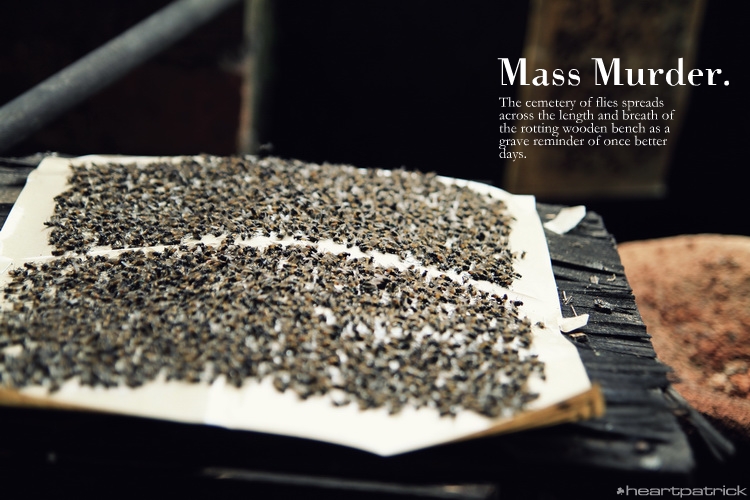 heartpatrick muar urban heritage