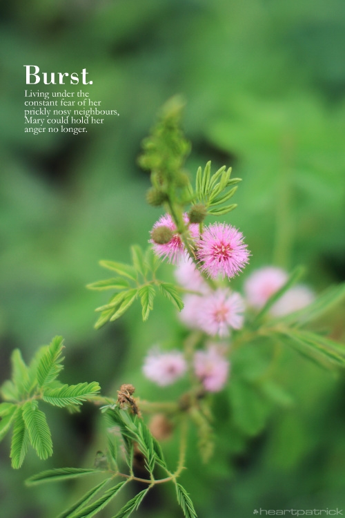 heartpatrick muar urban heritage