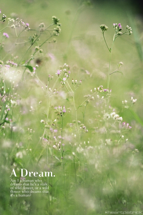 heartpatrick muar urban heritage