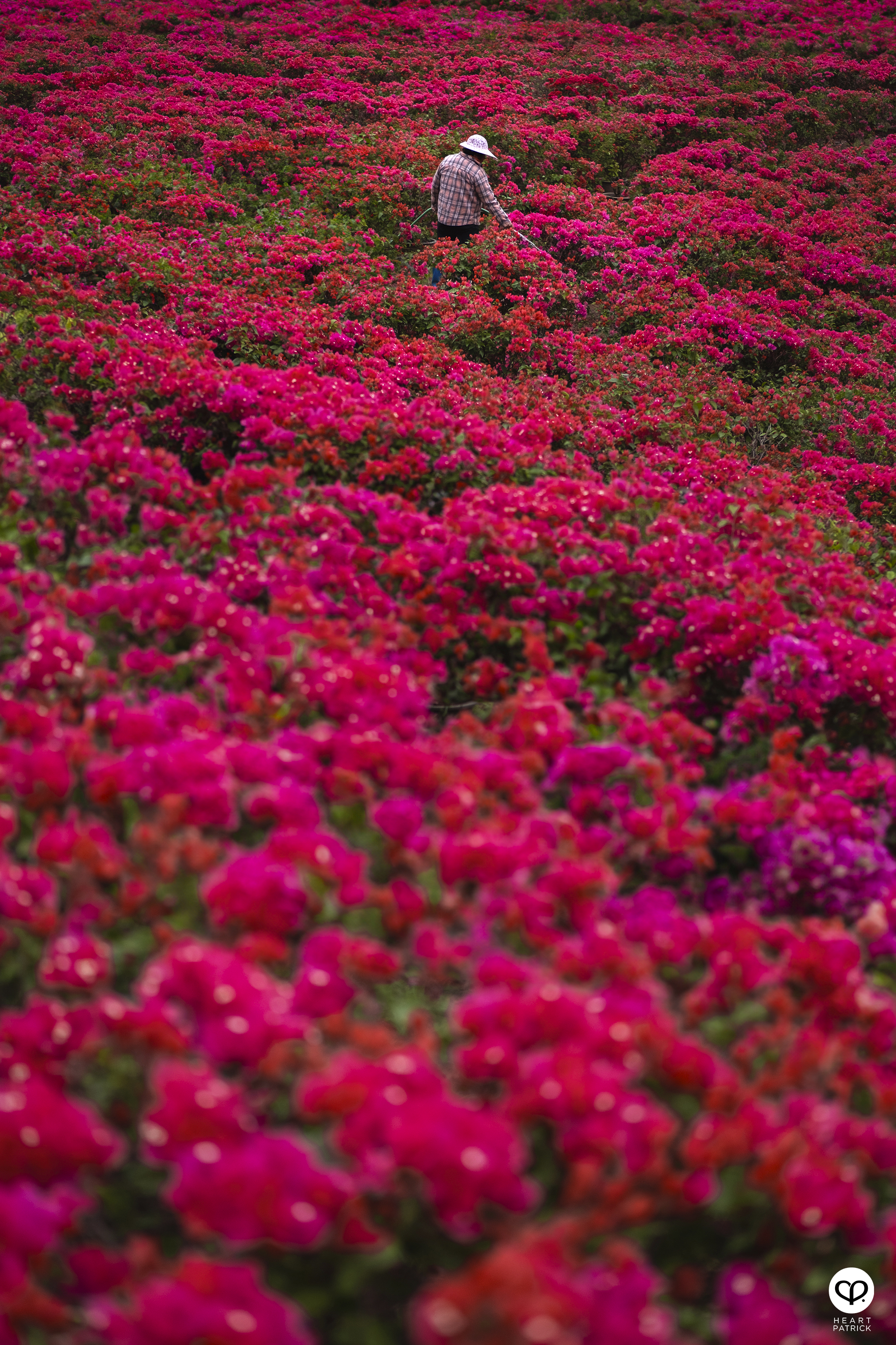 heartpatrick travel nanning china 2023 