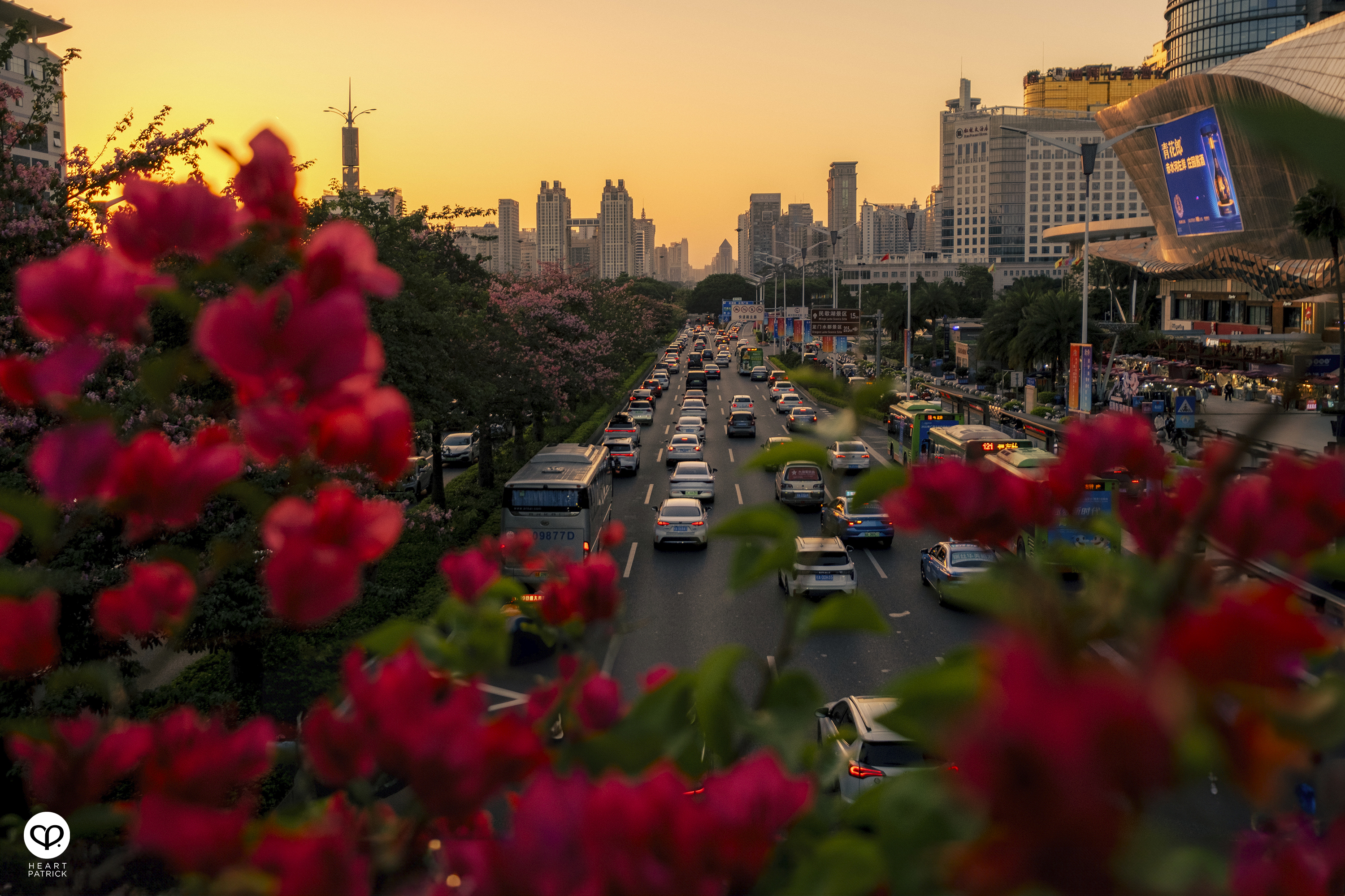 heartpatrick travel nanning china 2023 