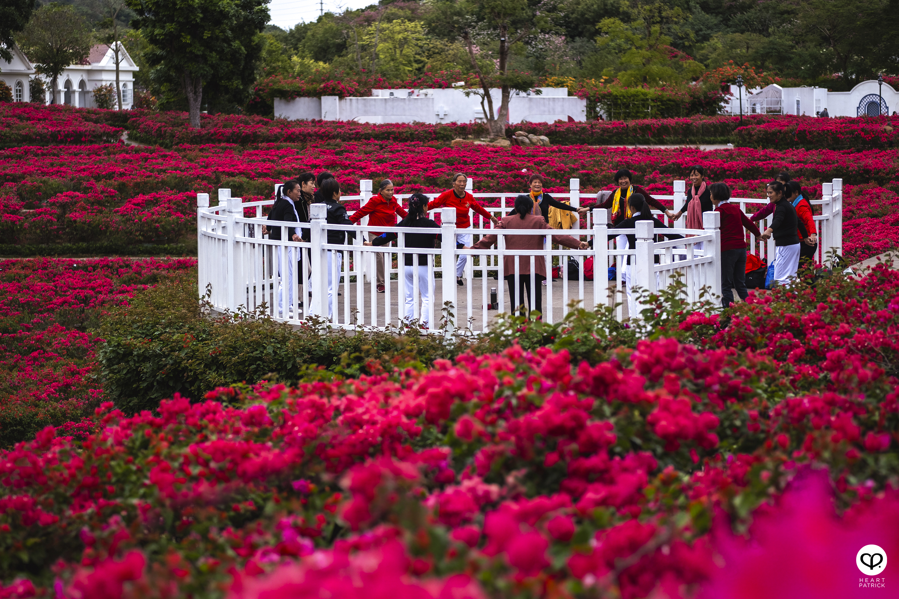 heartpatrick travel nanning china 2023 