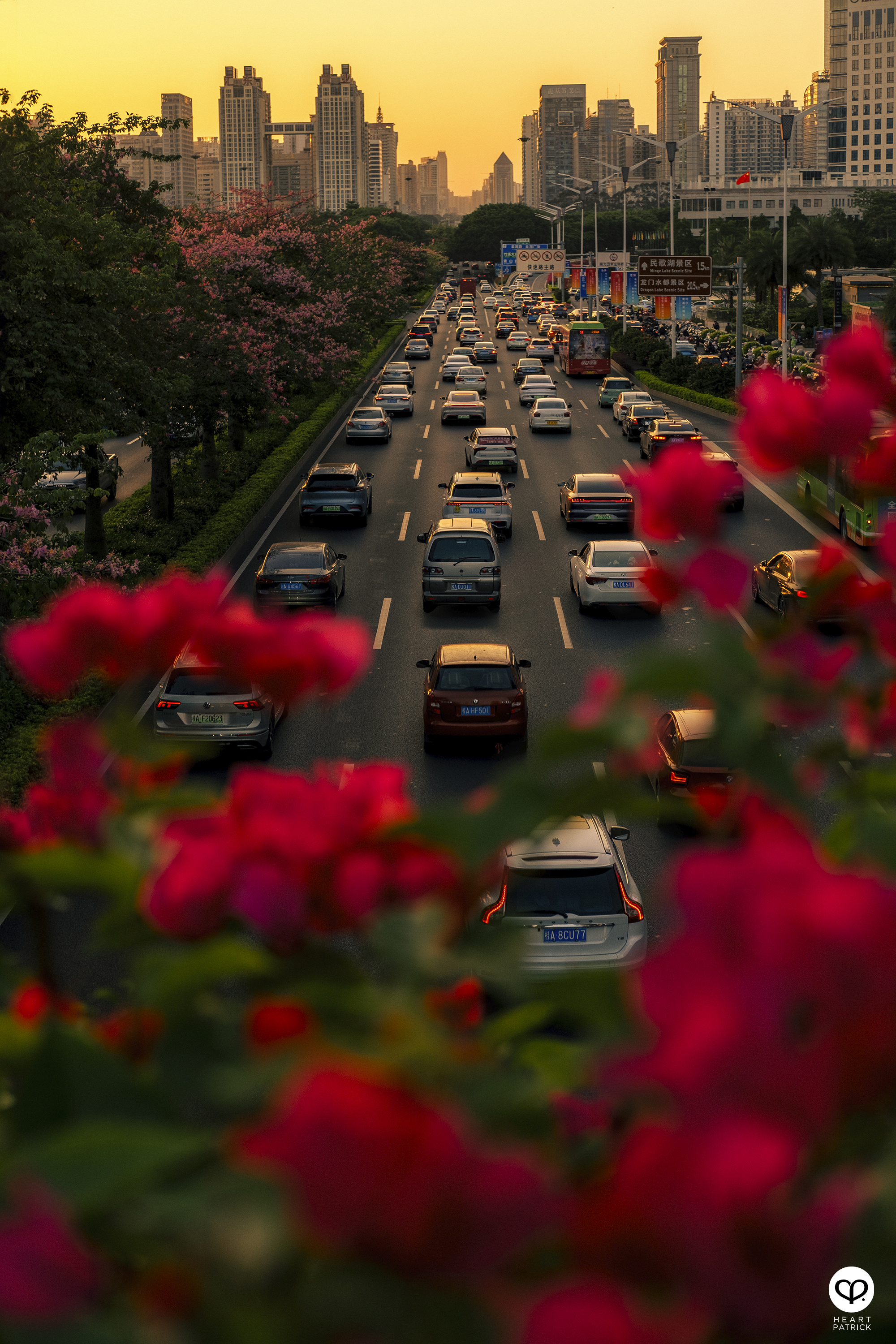 heartpatrick travel nanning china 2023 