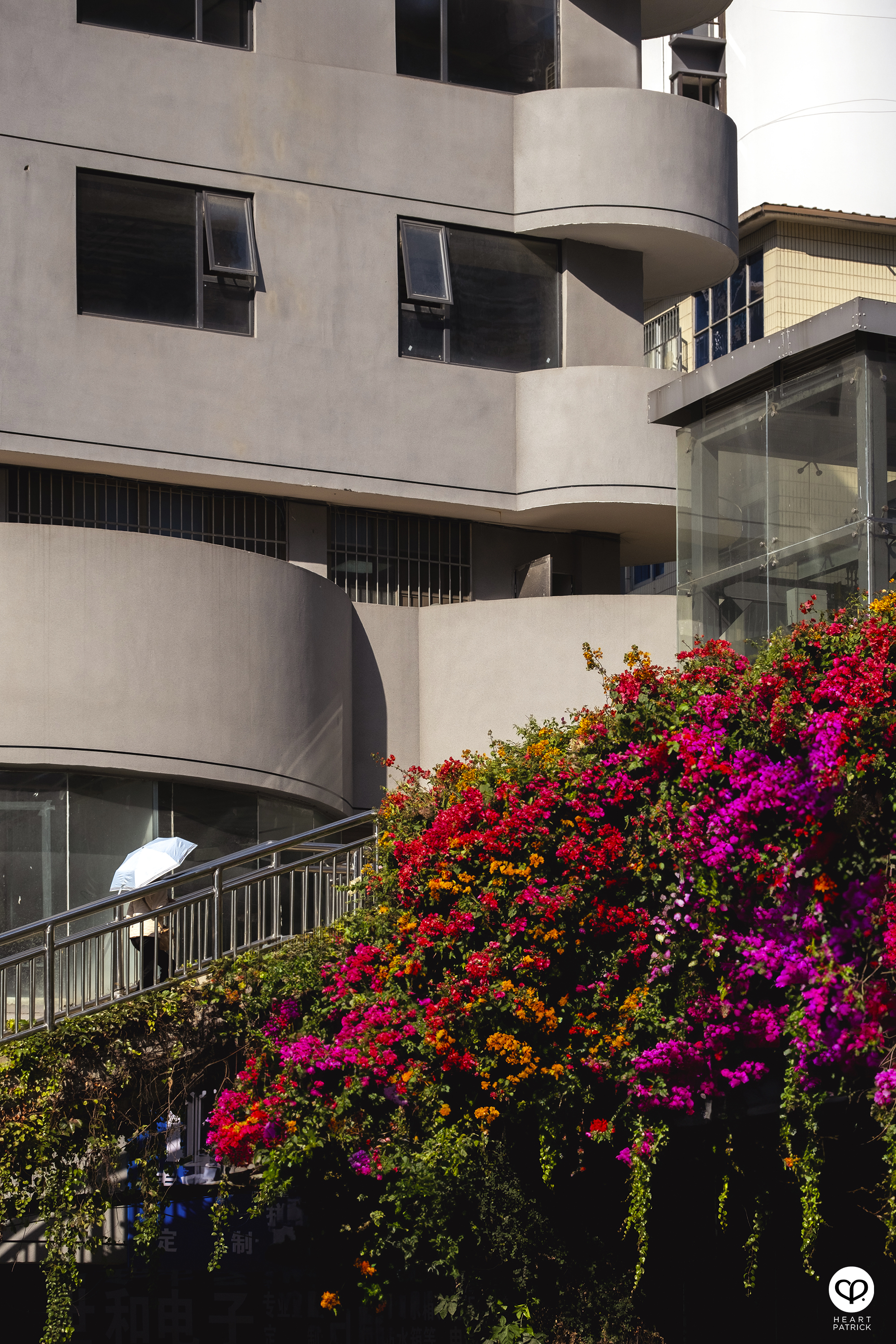 heartpatrick travel nanning china 2023 