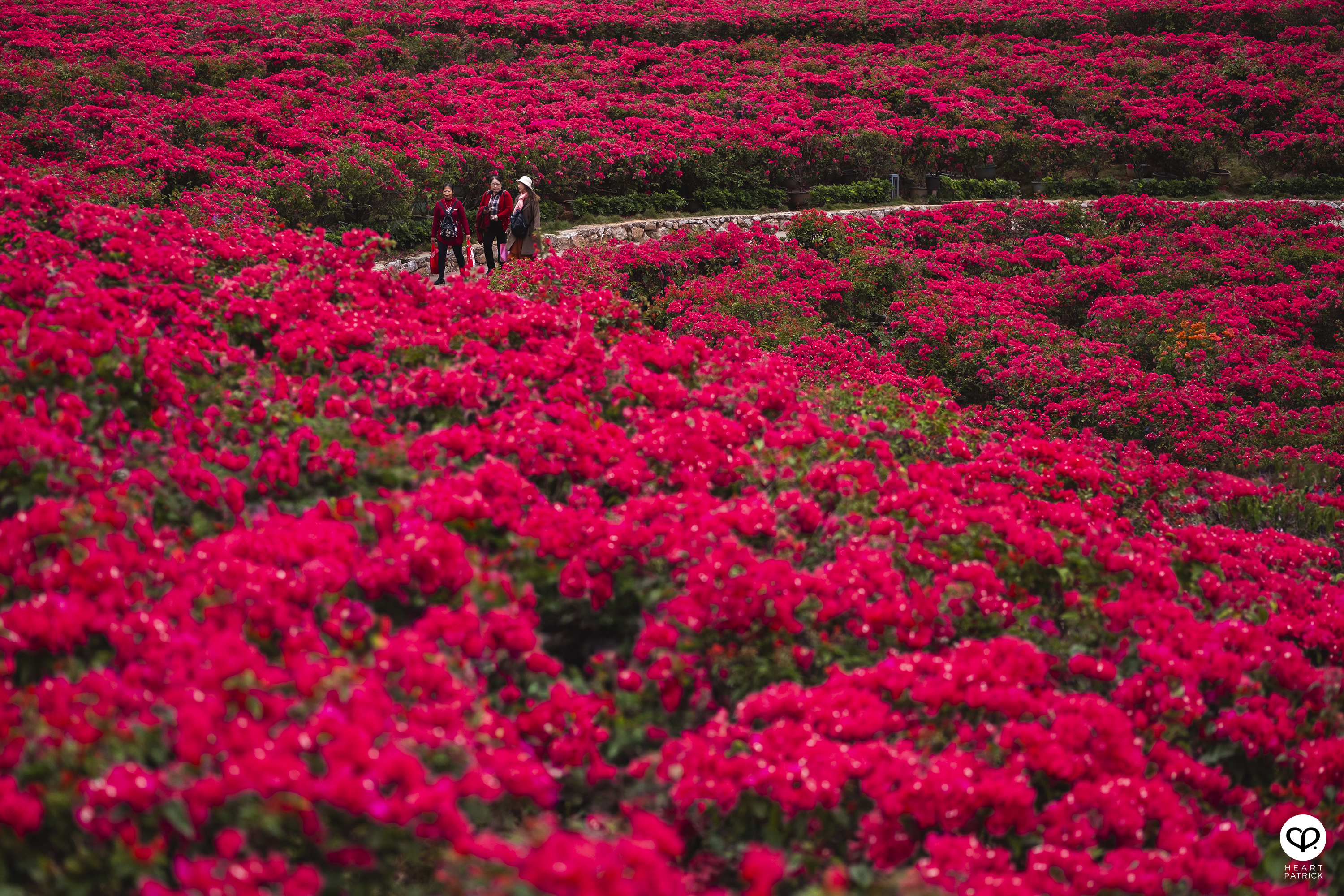 heartpatrick travel nanning china 2023 