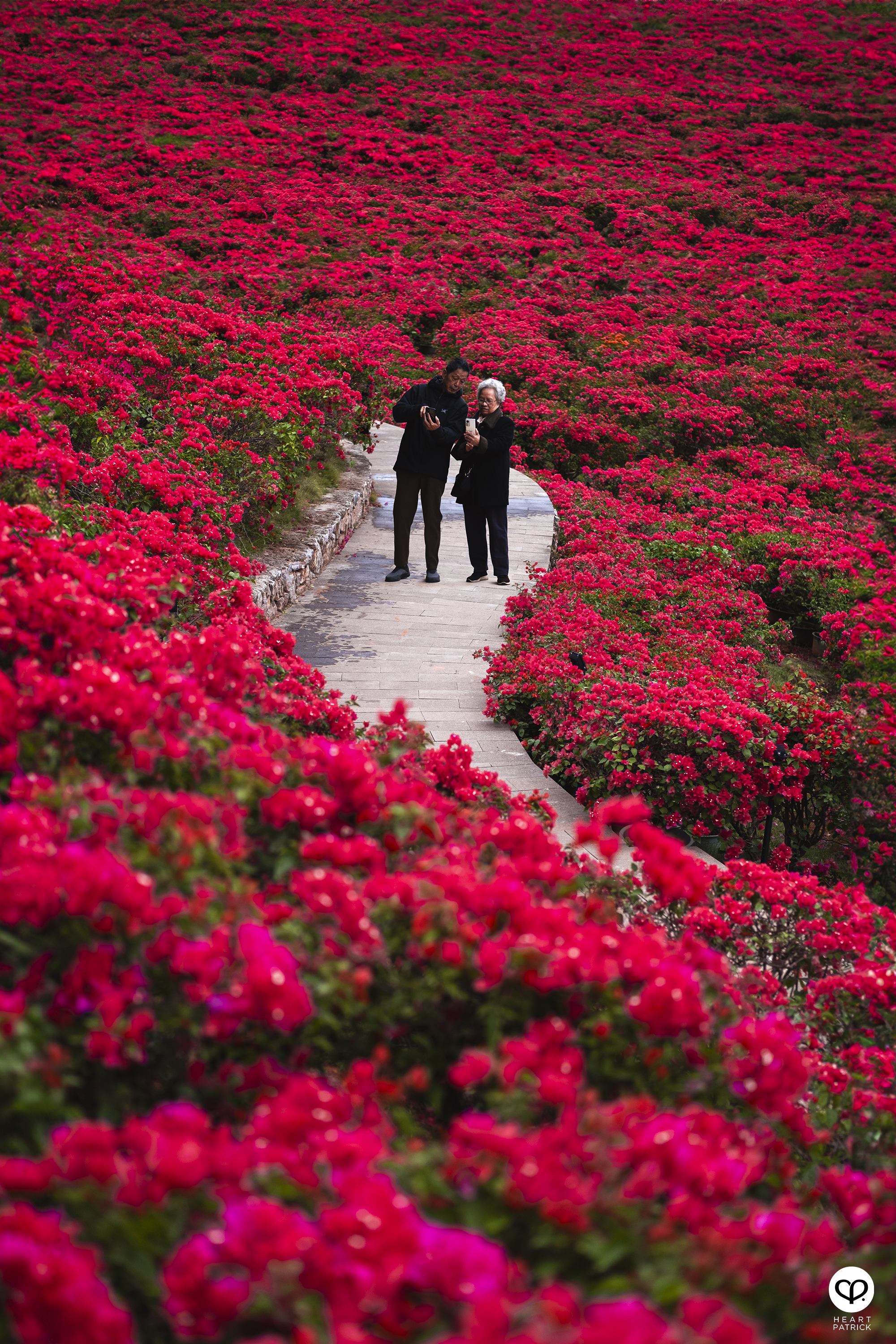 heartpatrick travel nanning china 2023 