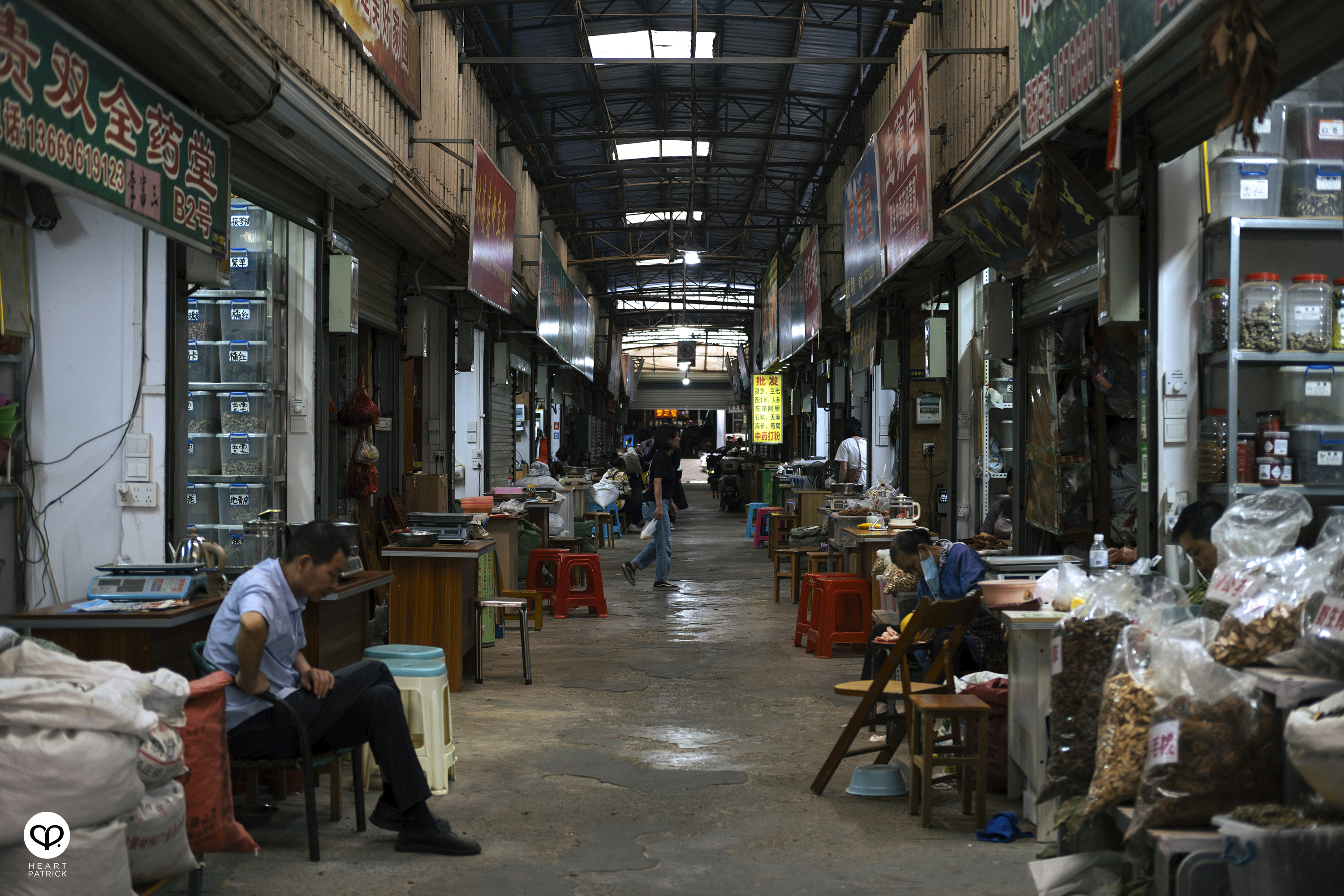 heartpatrick travel nanning china 2023 