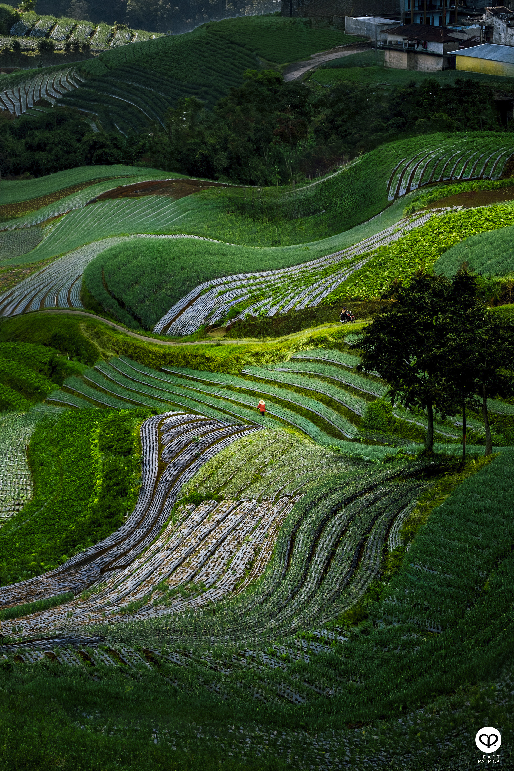 heartpatrick nepal van java dusun butuh java tengah indonesia