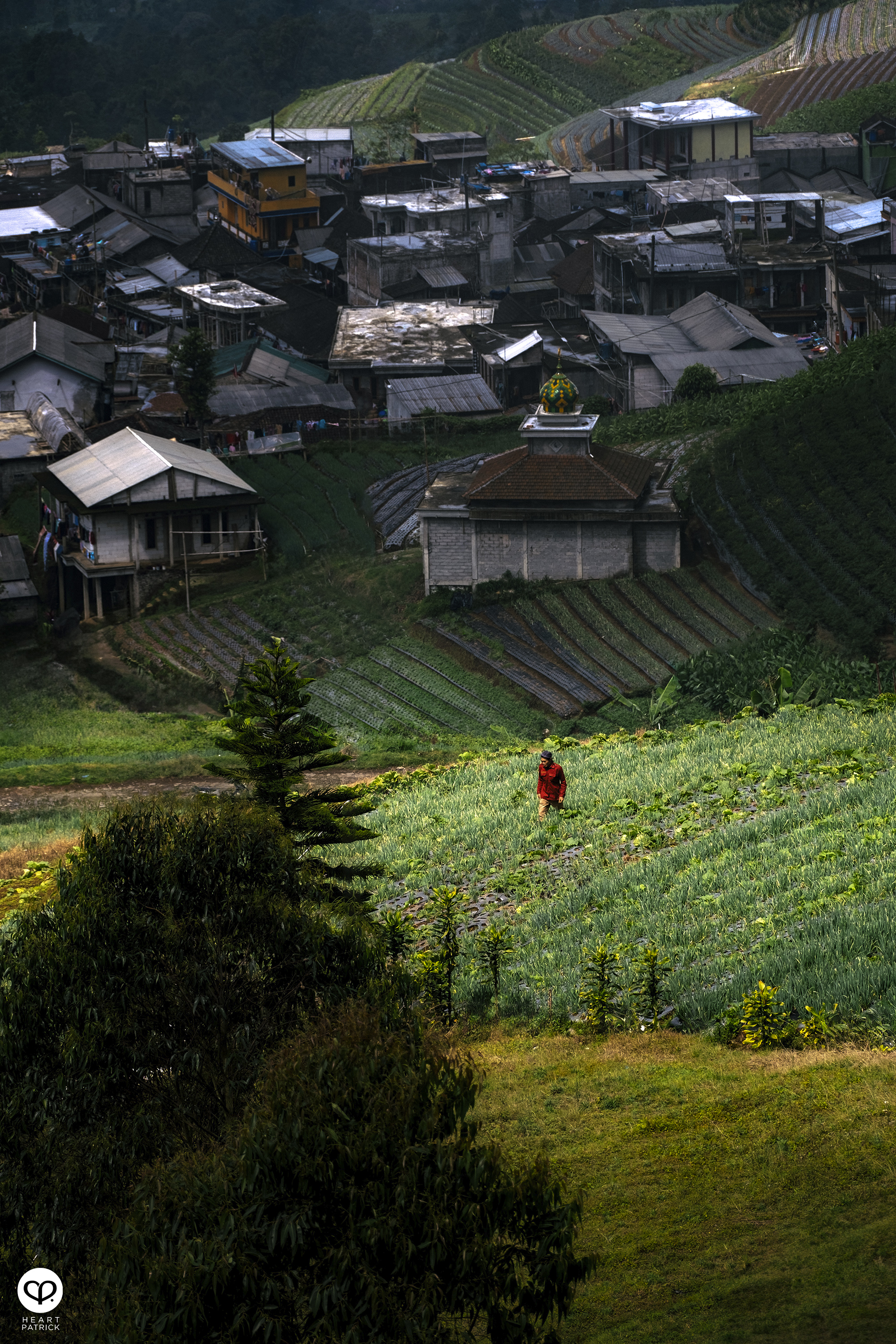 heartpatrick nepal van java dusun butuh java tengah indonesia
