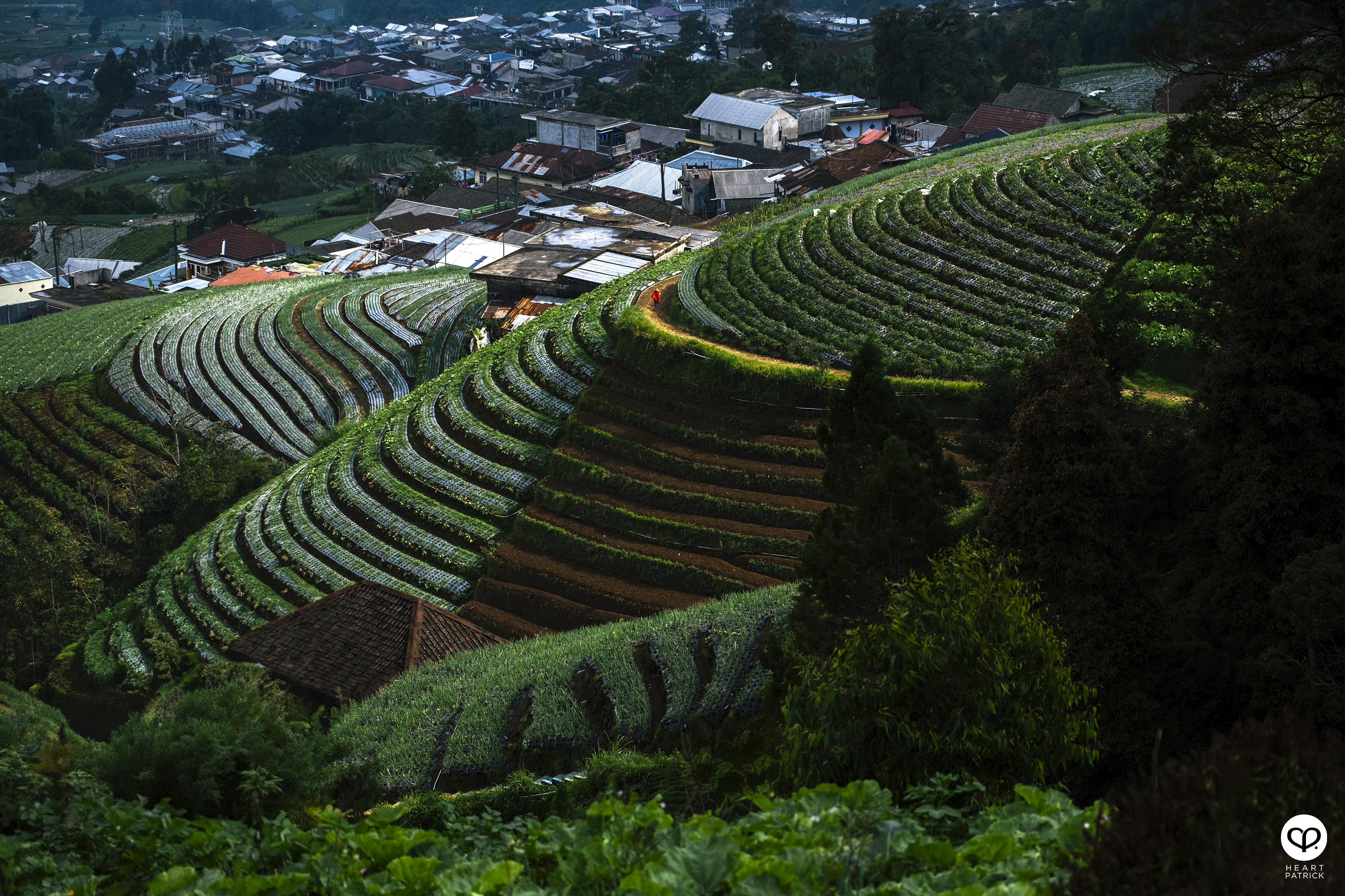 heartpatrick nepal van java dusun butuh java tengah indonesia