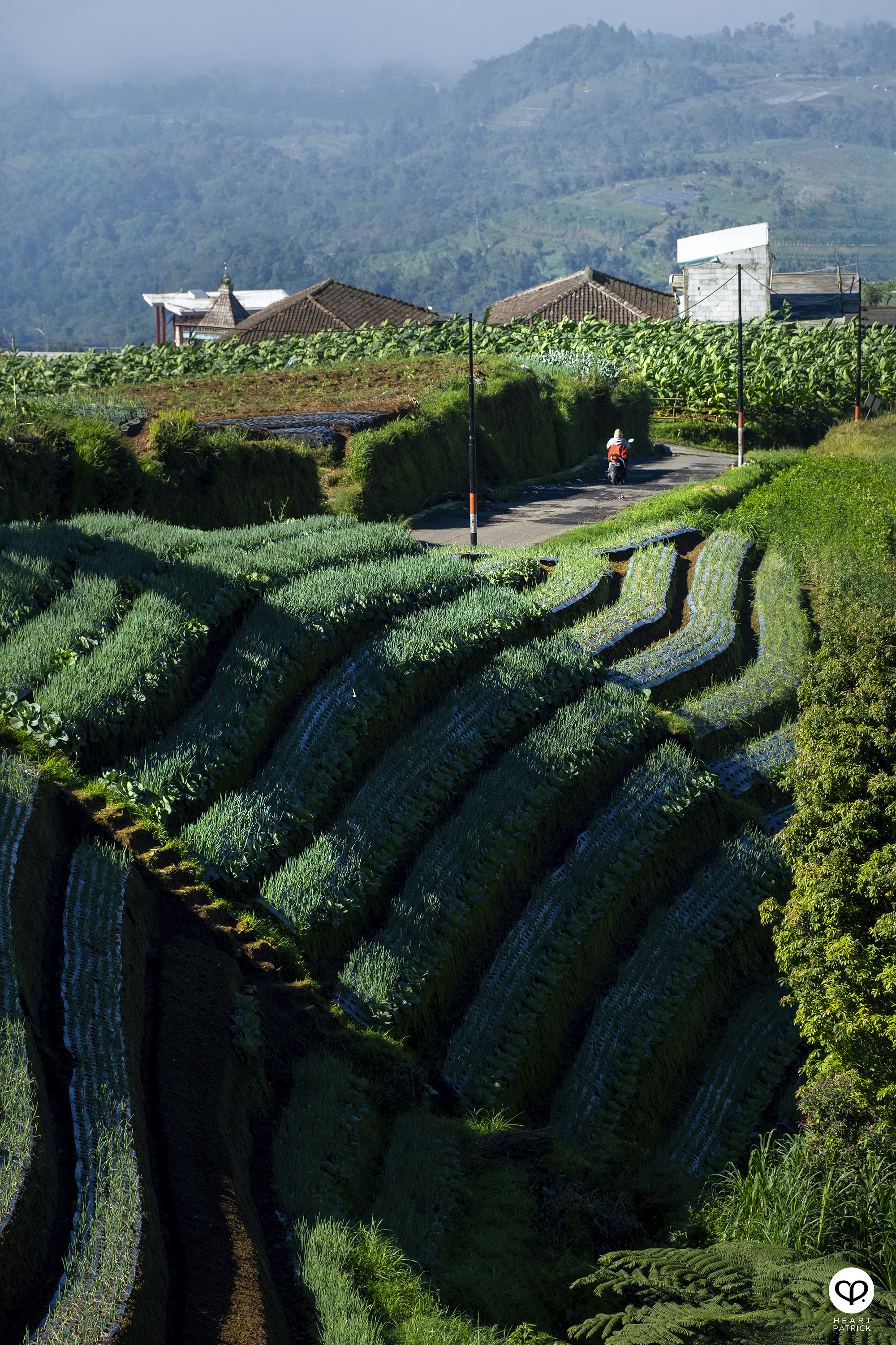 heartpatrick nepal van java dusun butuh java tengah indonesia