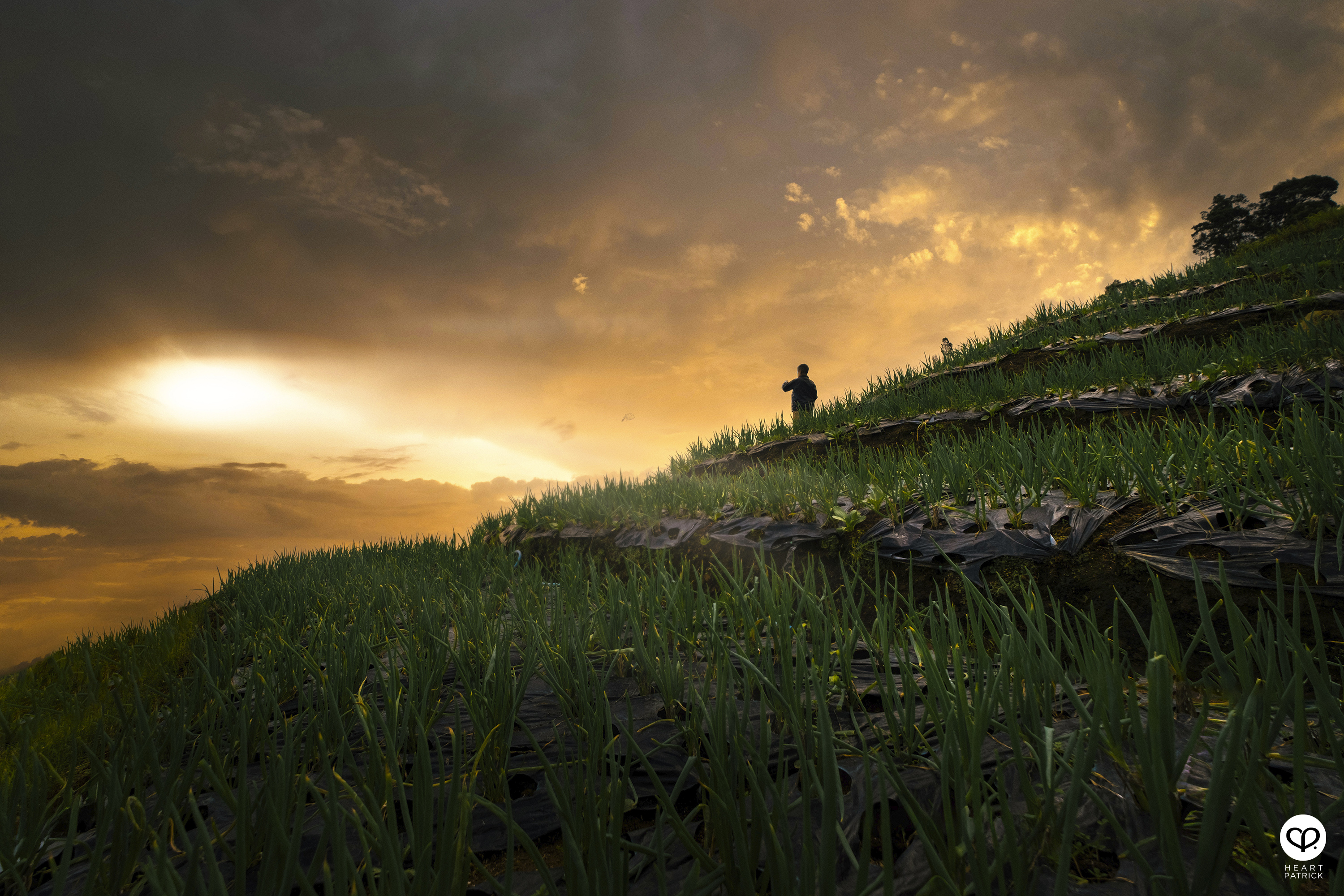 heartpatrick nepal van java dusun butuh java tengah indonesia