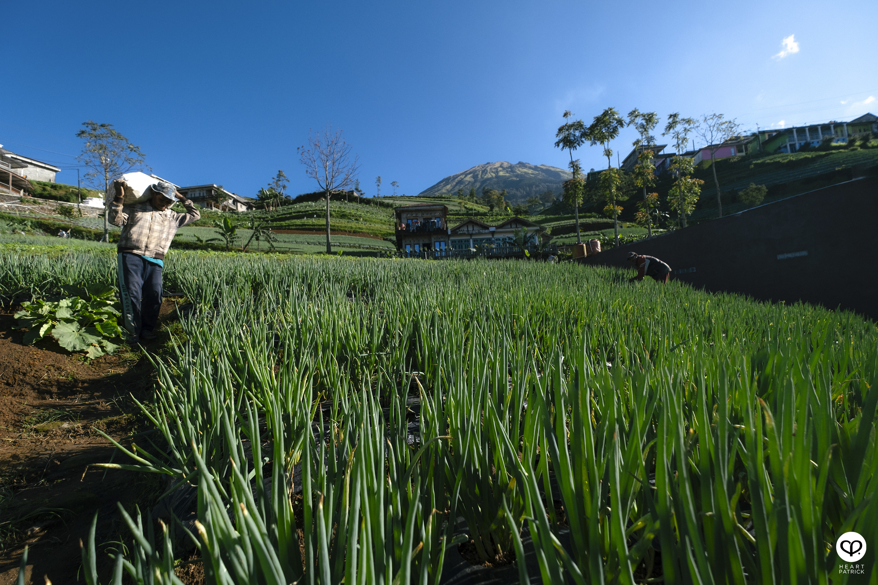 heartpatrick nepal van java dusun butuh java tengah indonesia