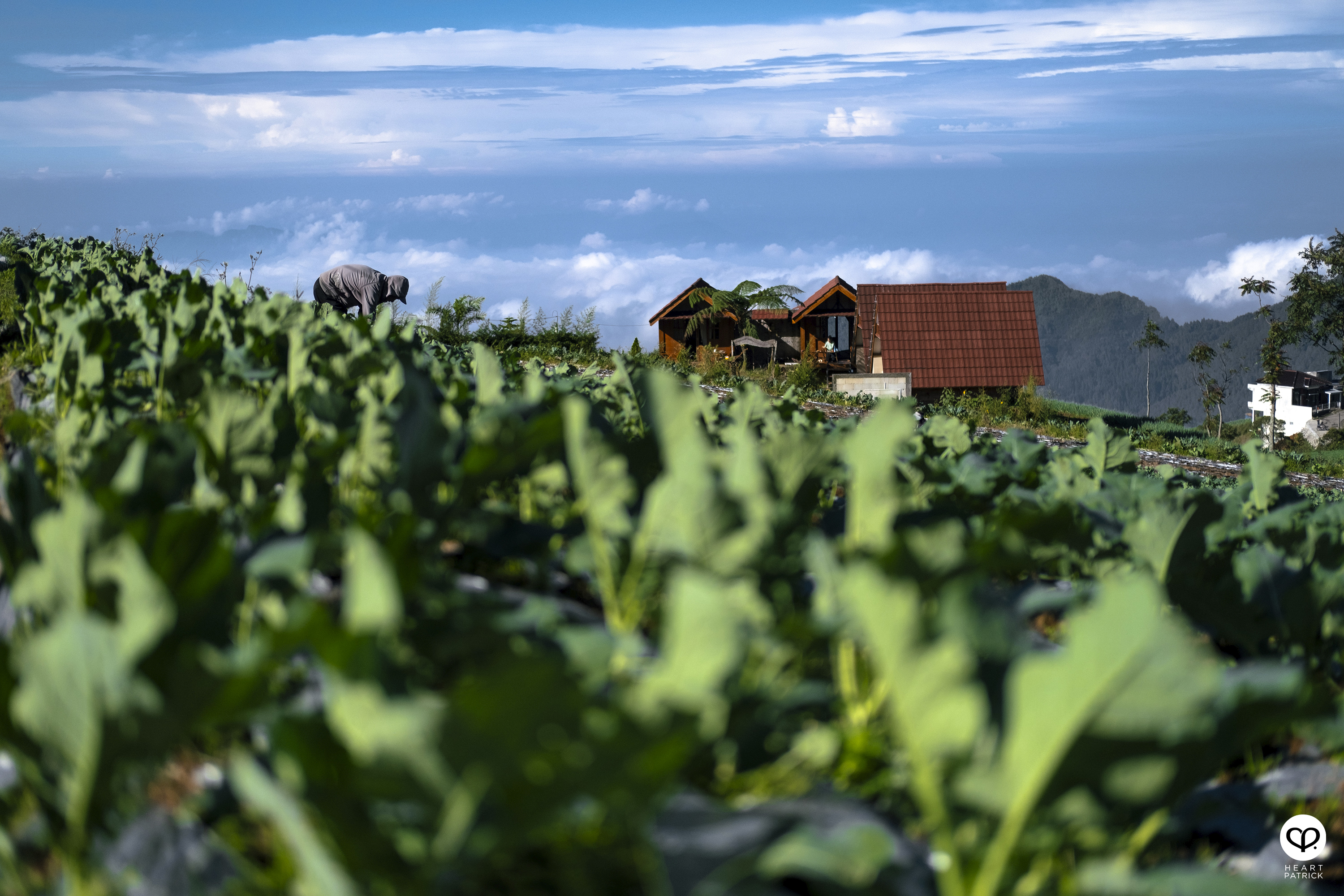 heartpatrick nepal van java dusun butuh java tengah indonesia