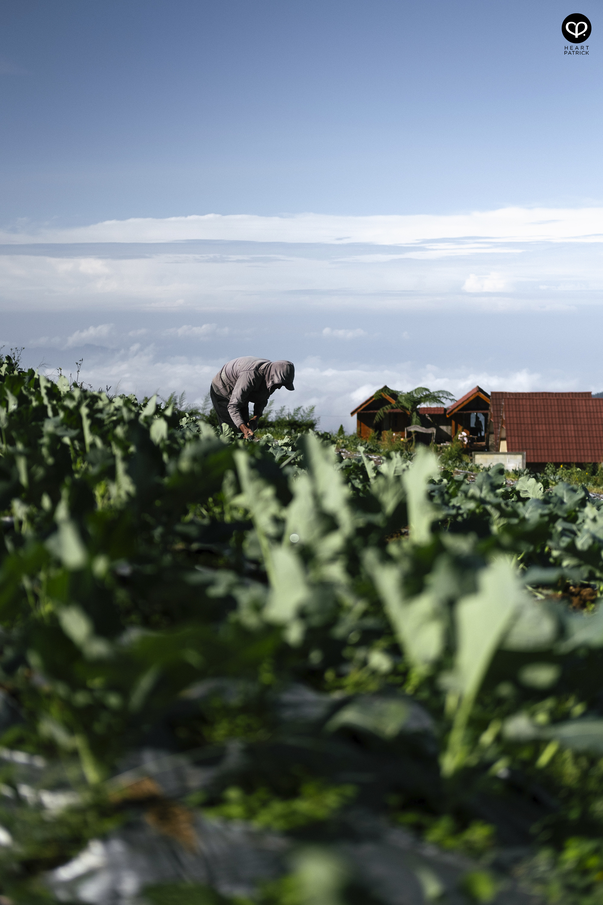 heartpatrick nepal van java dusun butuh java tengah indonesia