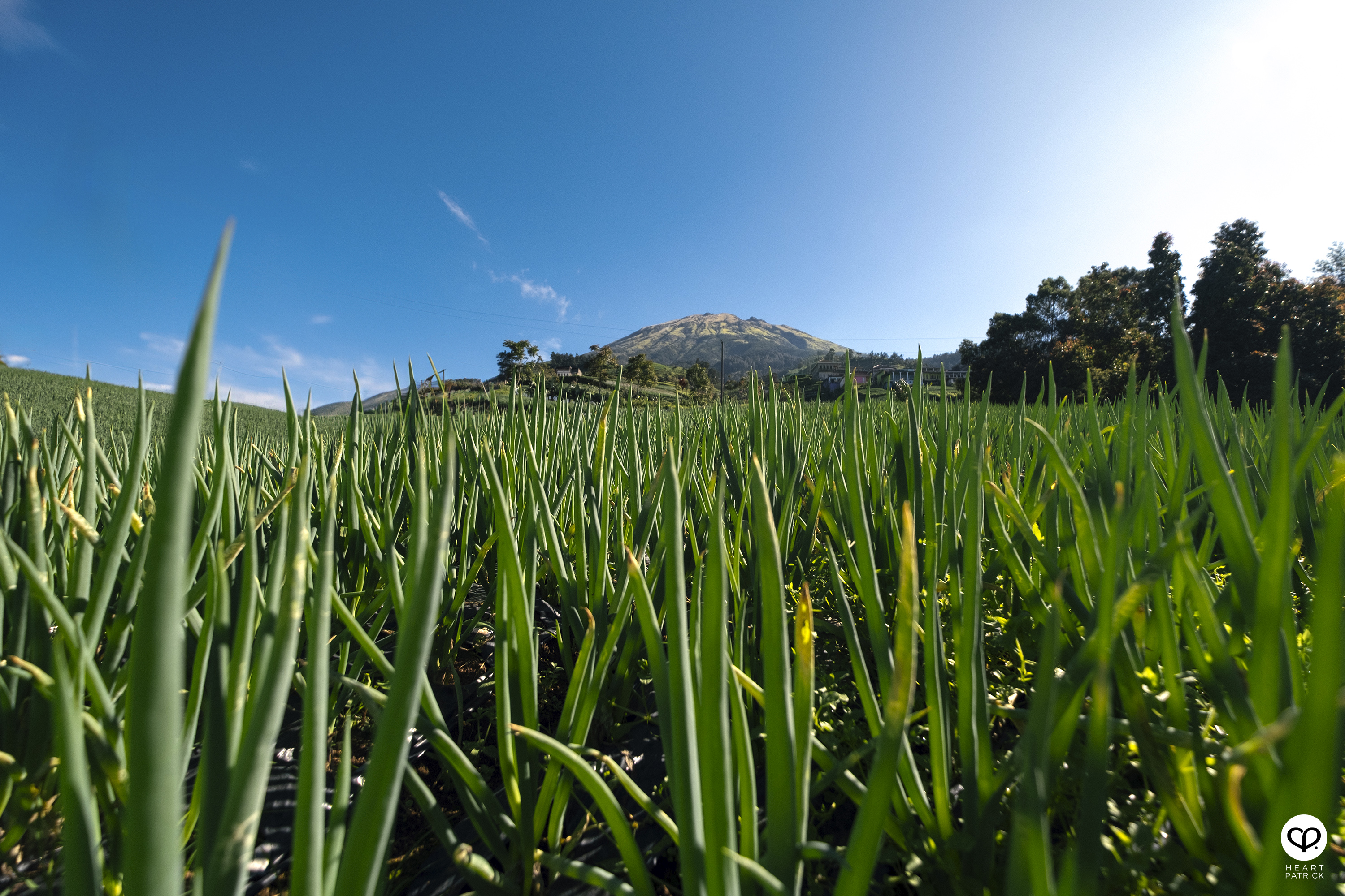 heartpatrick nepal van java dusun butuh java tengah indonesia