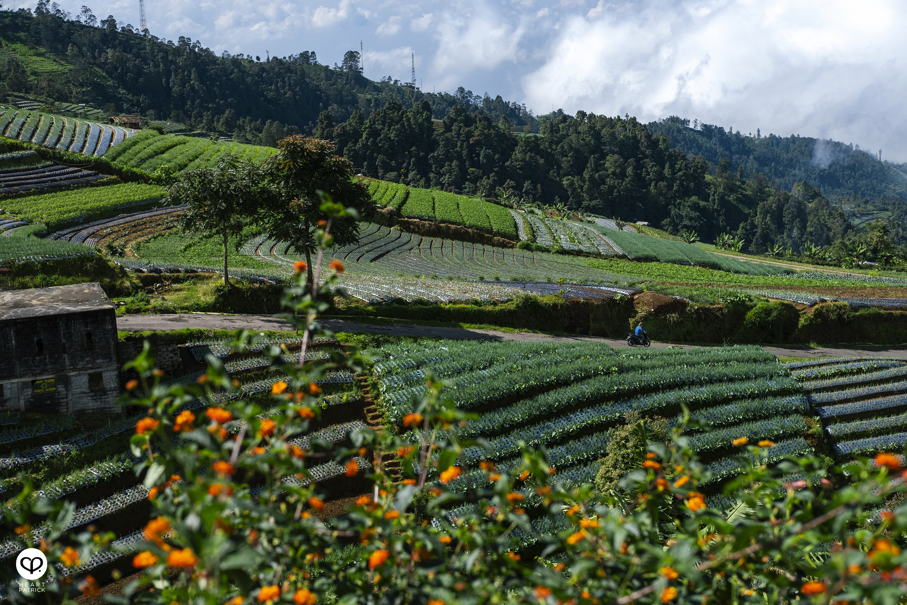 heartpatrick nepal van java dusun butuh java tengah indonesia