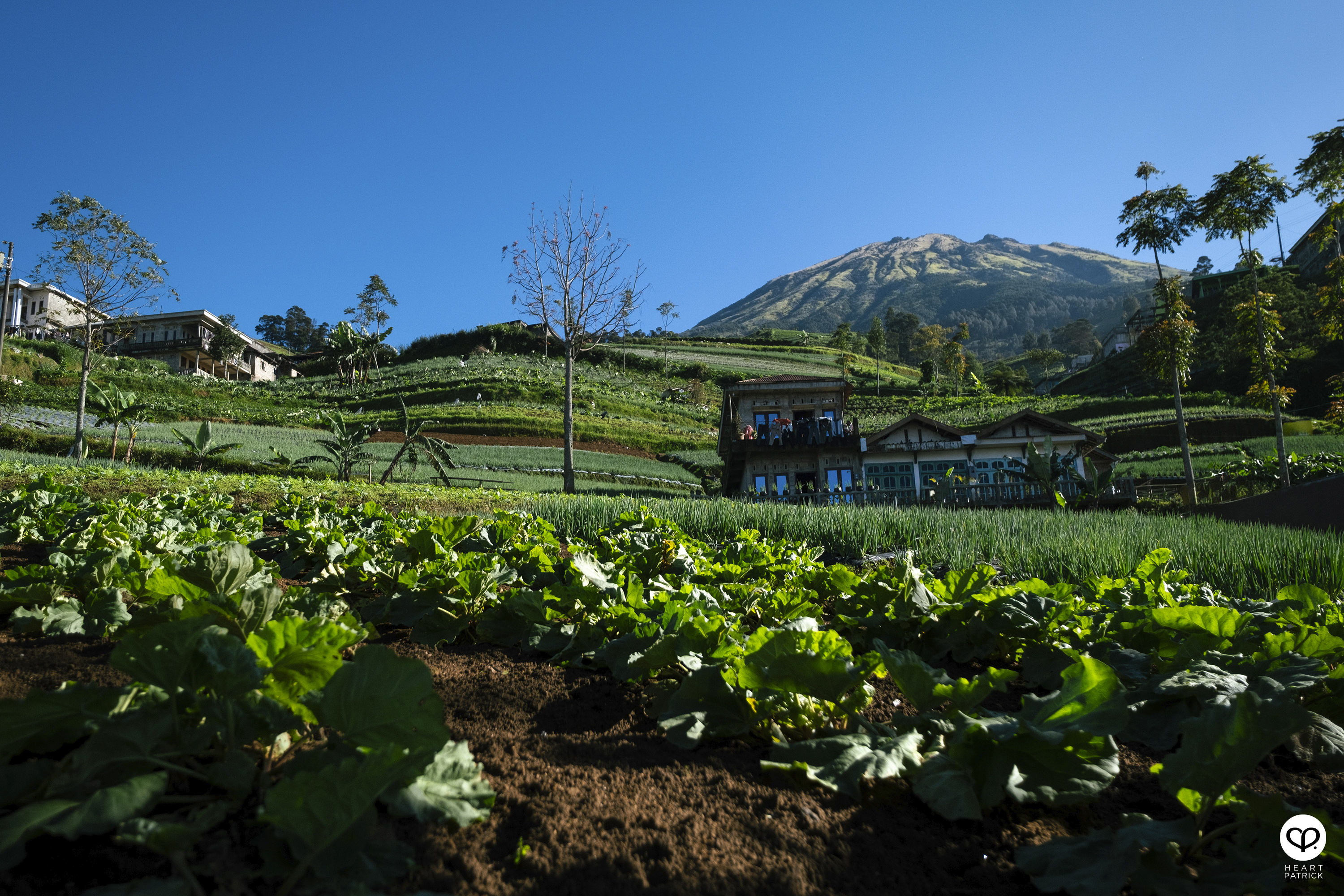 heartpatrick nepal van java dusun butuh java tengah indonesia