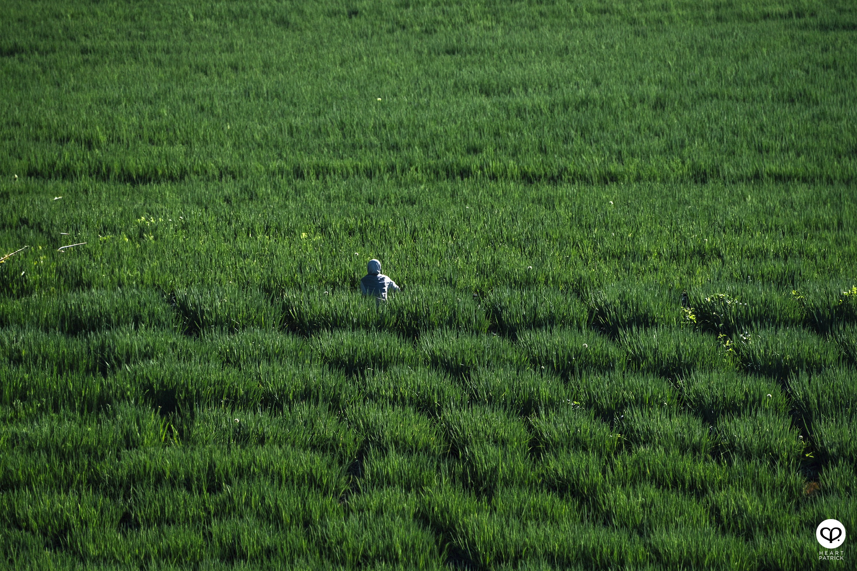 heartpatrick nepal van java dusun butuh java tengah indonesia