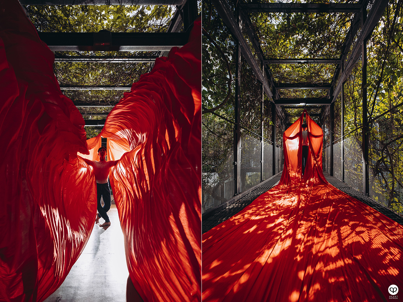 heartpatrick portraits centrio aerial dancer noah yap